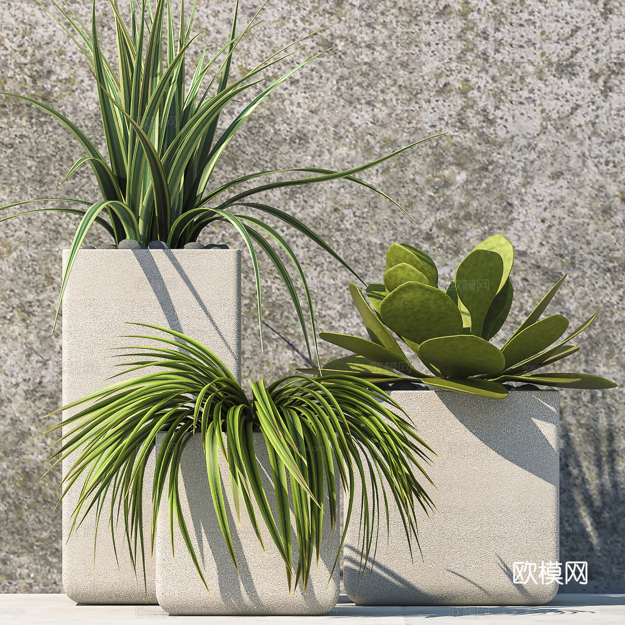 现代盆景  绿植盆栽 盆栽组合3d模型