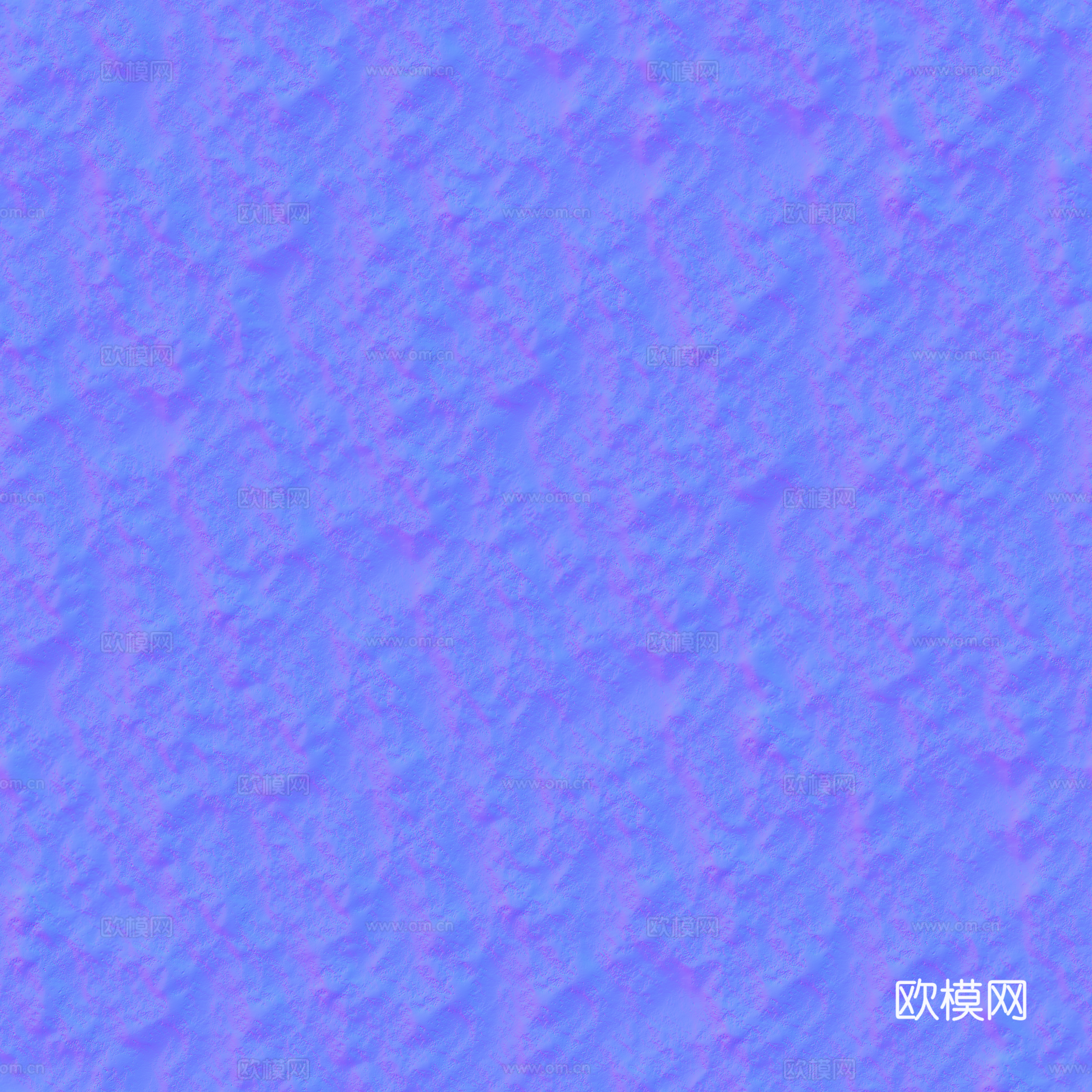 雪地 雪