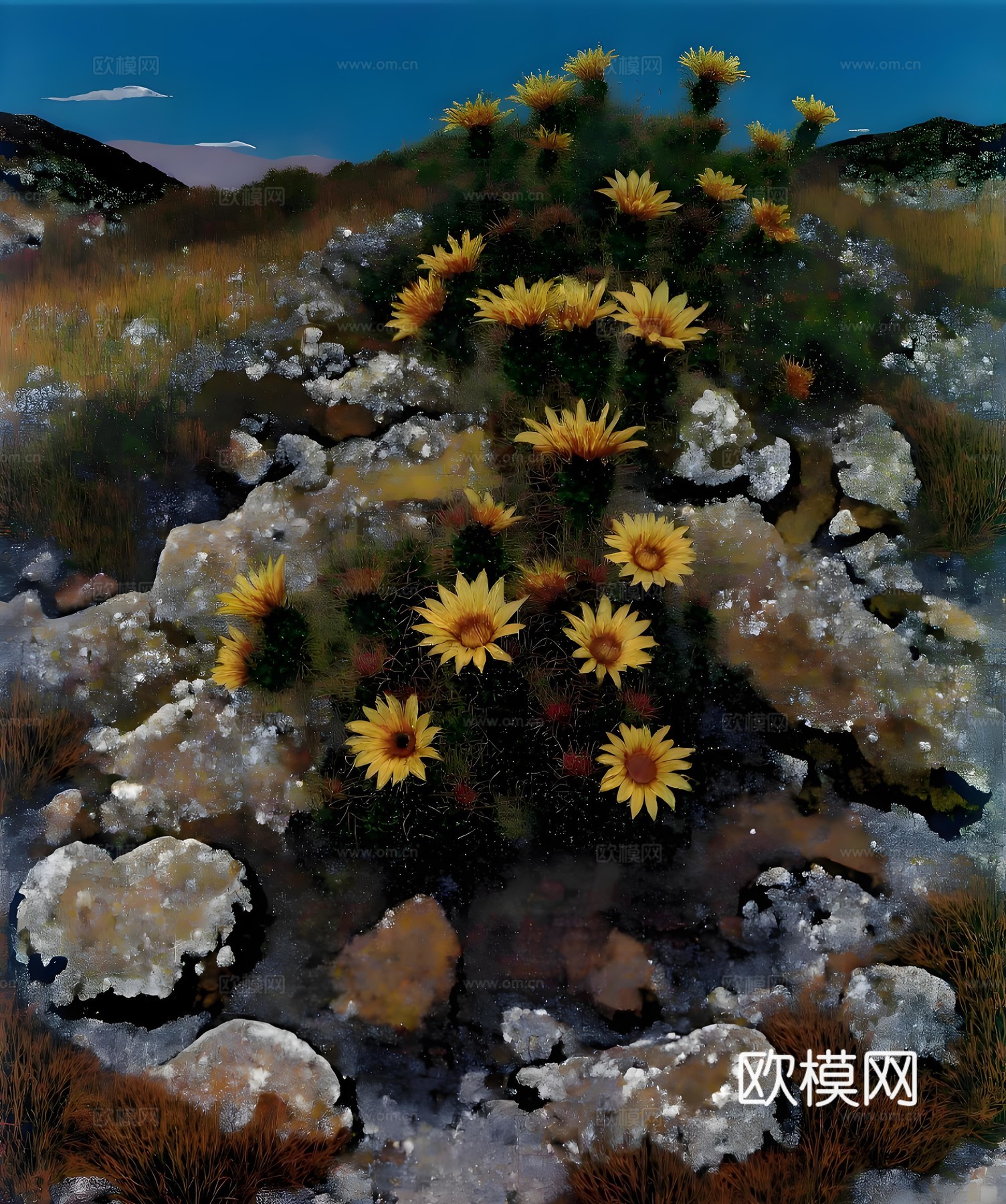 艺术时尚现代挂画