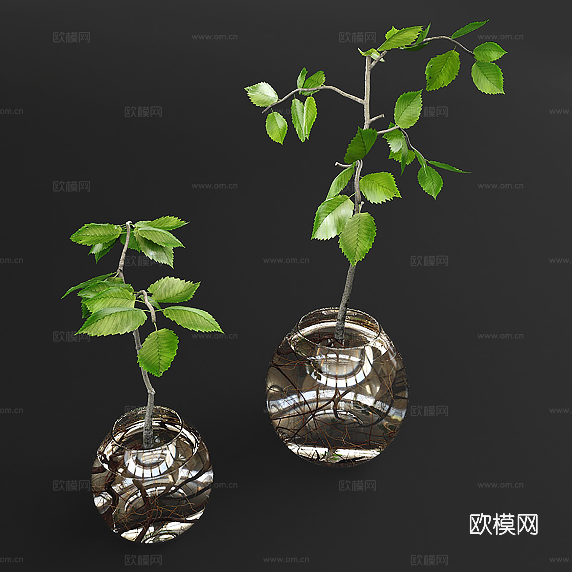 现代盆景  水培绿植 花瓶花艺3d模型