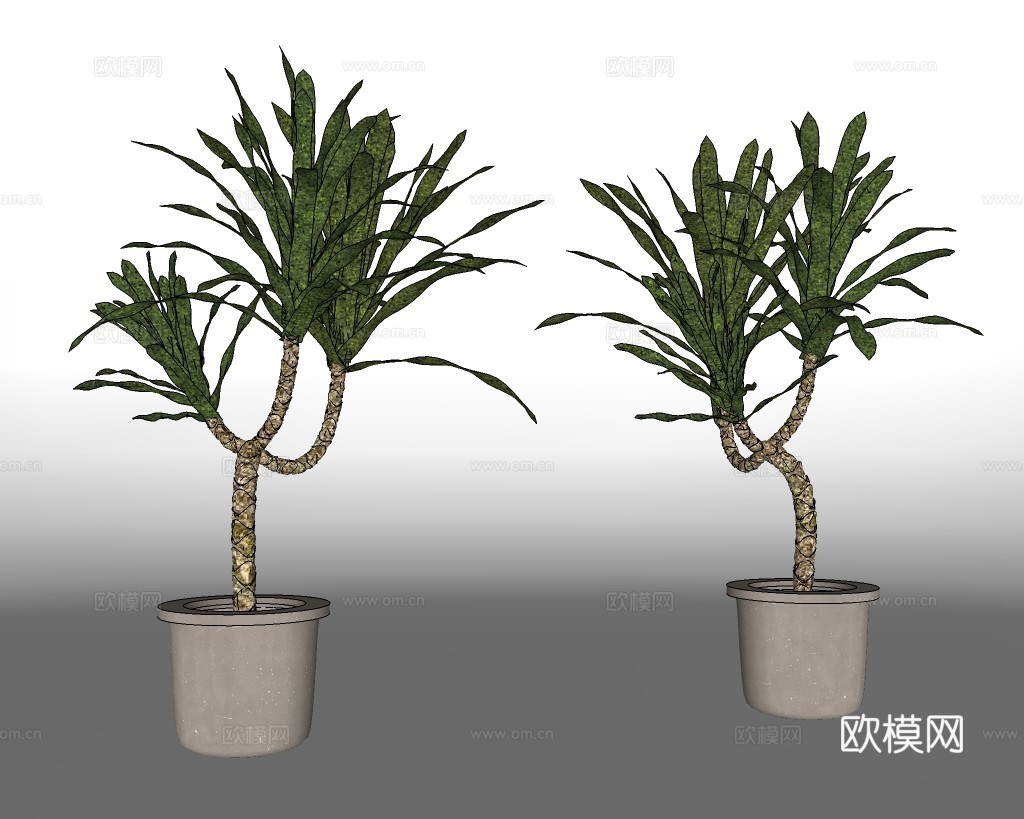 现代绿植盆栽su模型下载