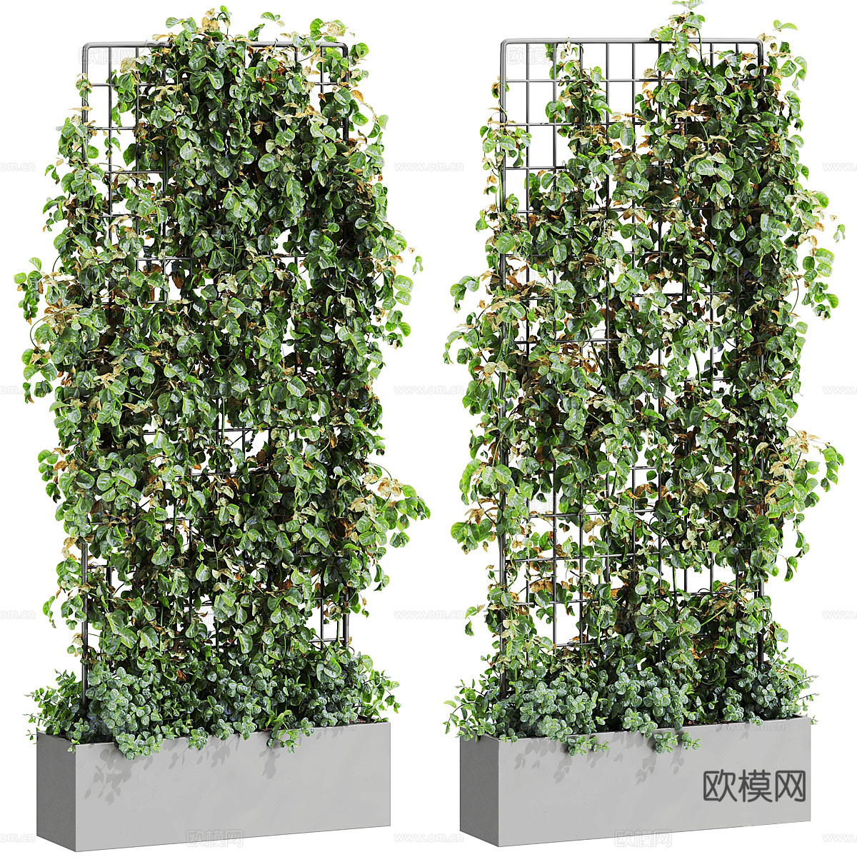 现代藤蔓常春藤植物架3d模型