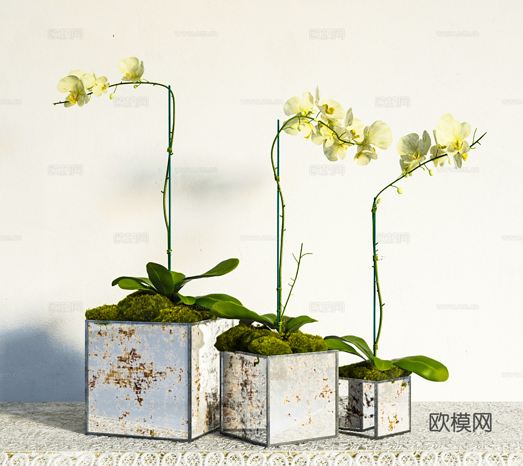 现代花盆花艺  绿植盆栽3d模型