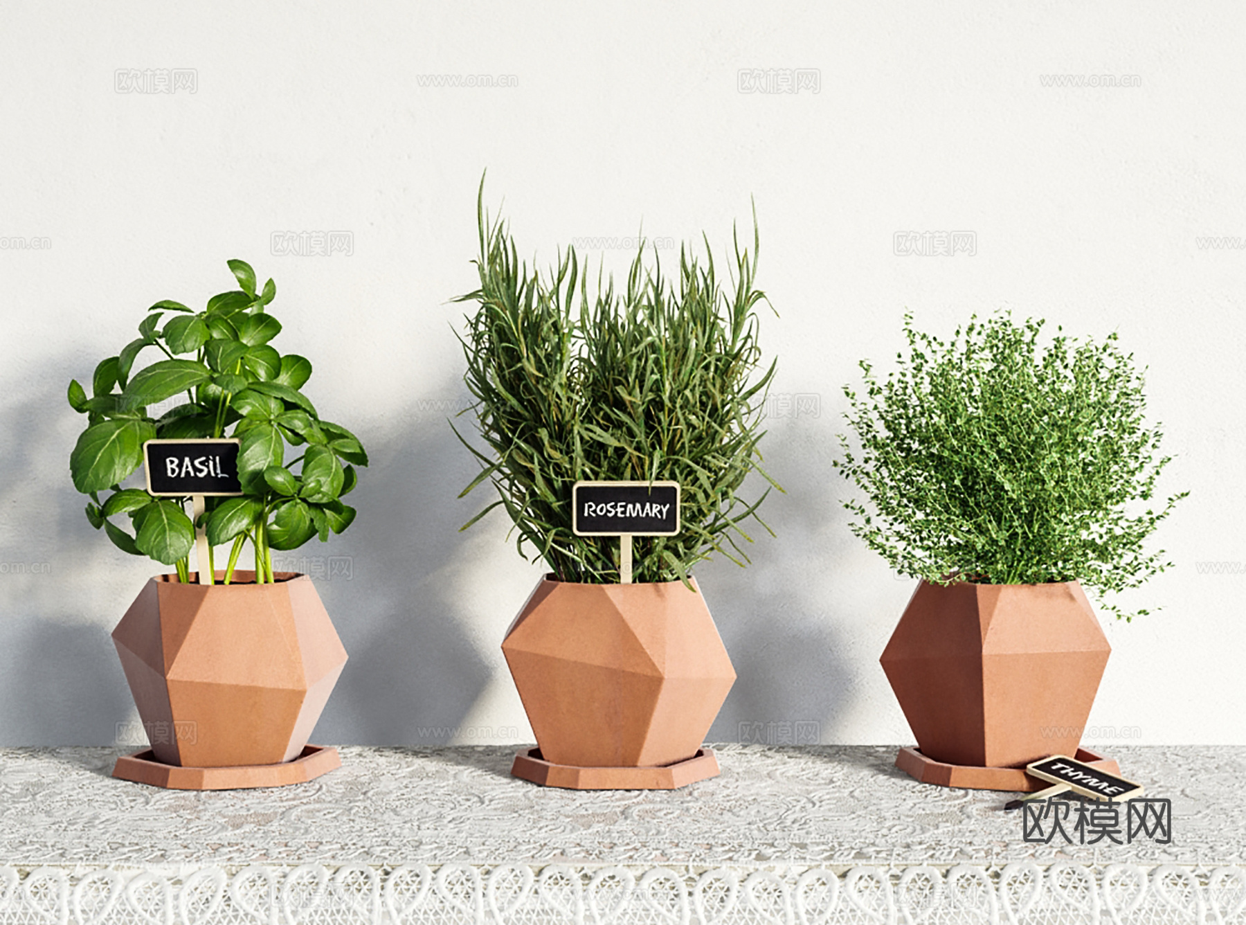现代盆景  绿植盆栽 盆栽组合3d模型