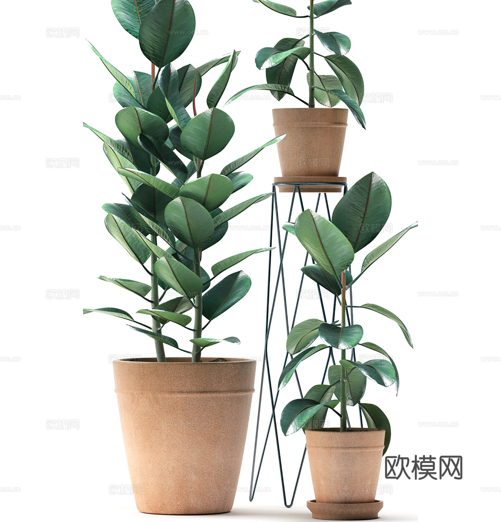 现代盆景  绿植盆栽3d模型