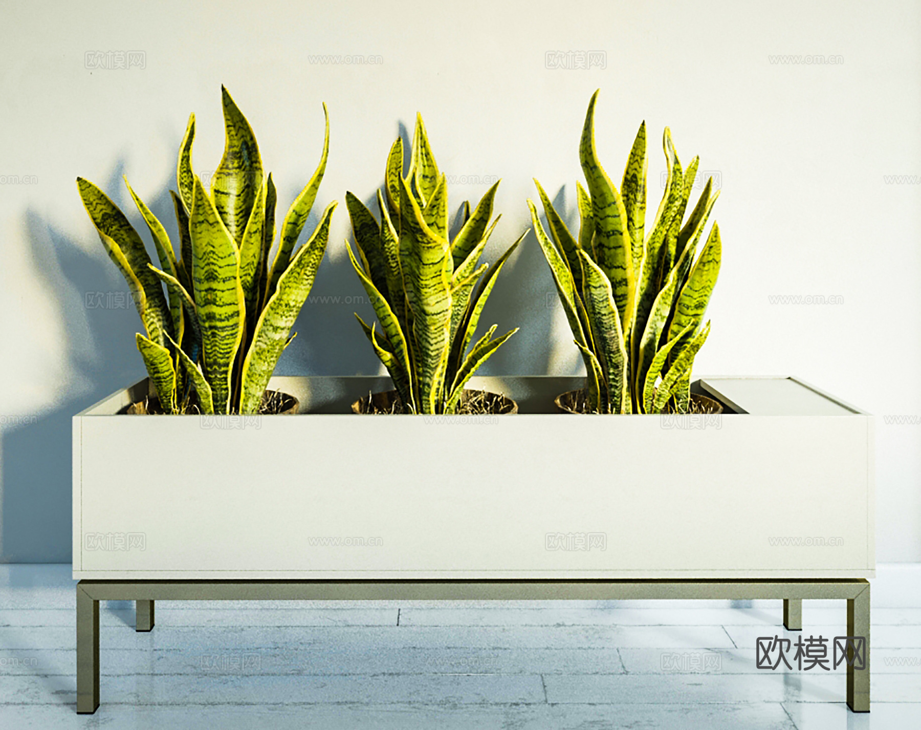 现代盆景  绿植盆栽  盆栽组合3d模型