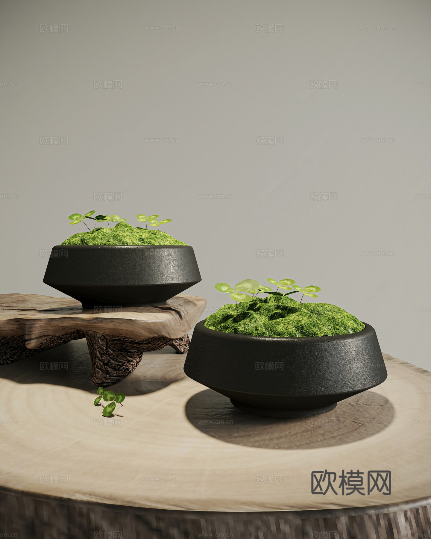 现代苔藓盆景 苔藓 盆景 桌面3d模型