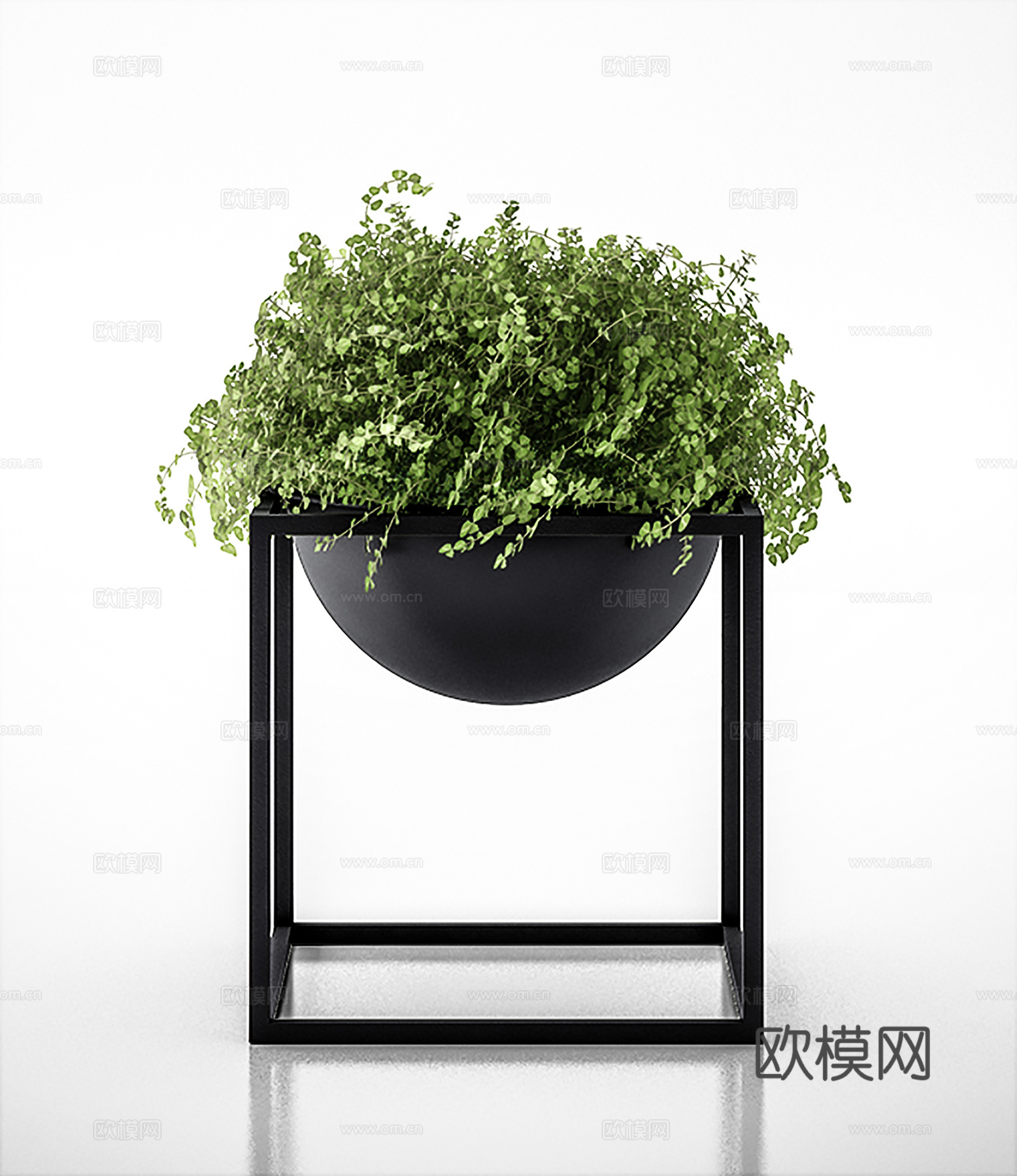 现代盆景  绿植盆栽3d模型