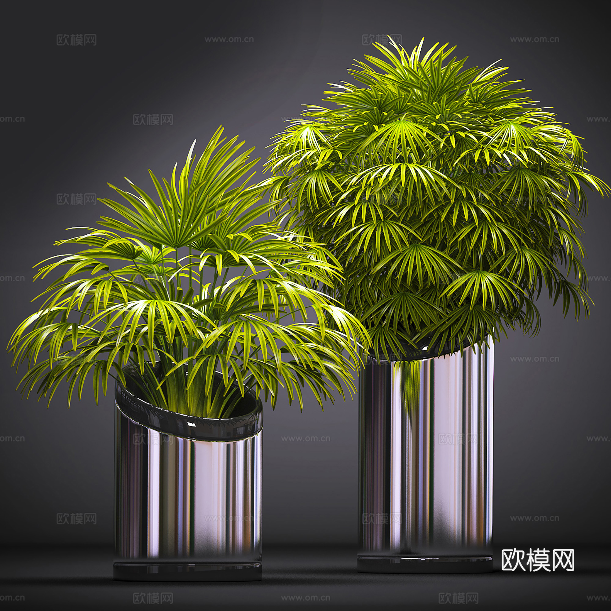 现代盆景  绿植盆栽  室内造景绿植3d模型