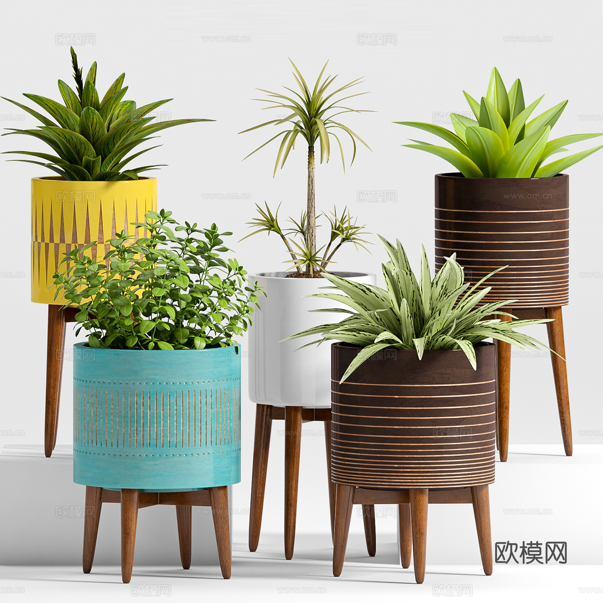 现代盆景  绿植盆栽  室内造景绿植3d模型