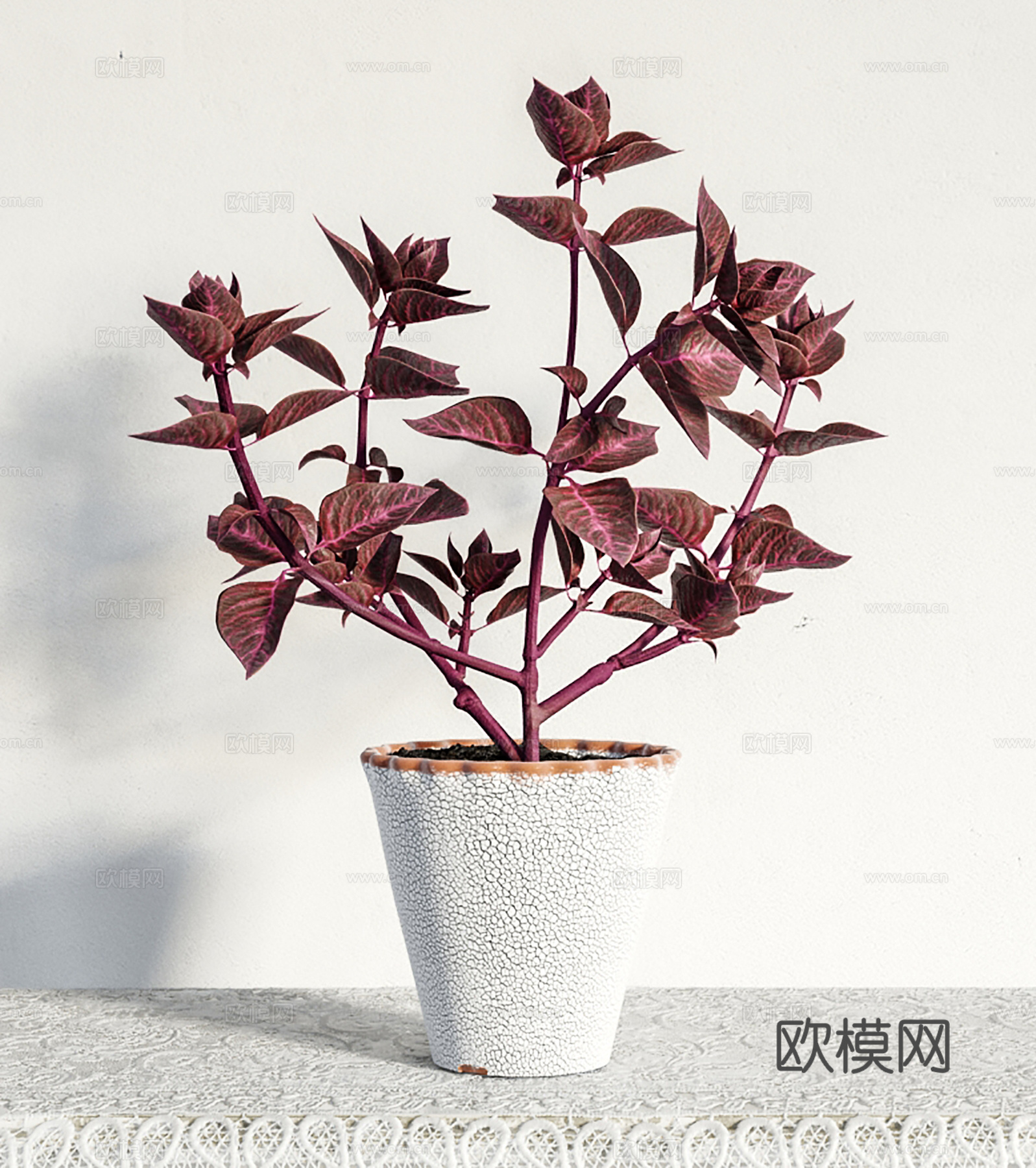 现代盆景  绿植盆栽3d模型
