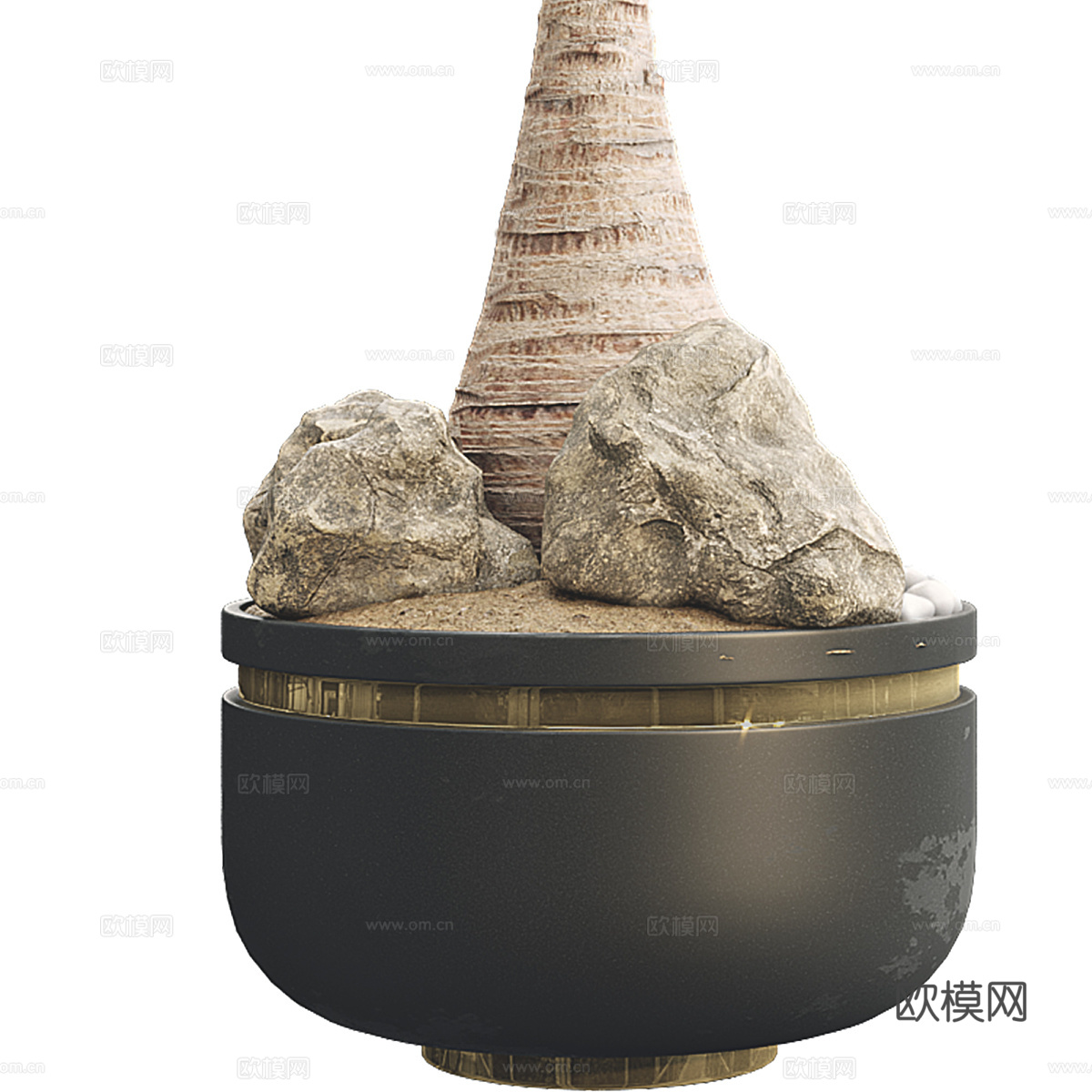 马尾辫棕榈树盆栽3d模型