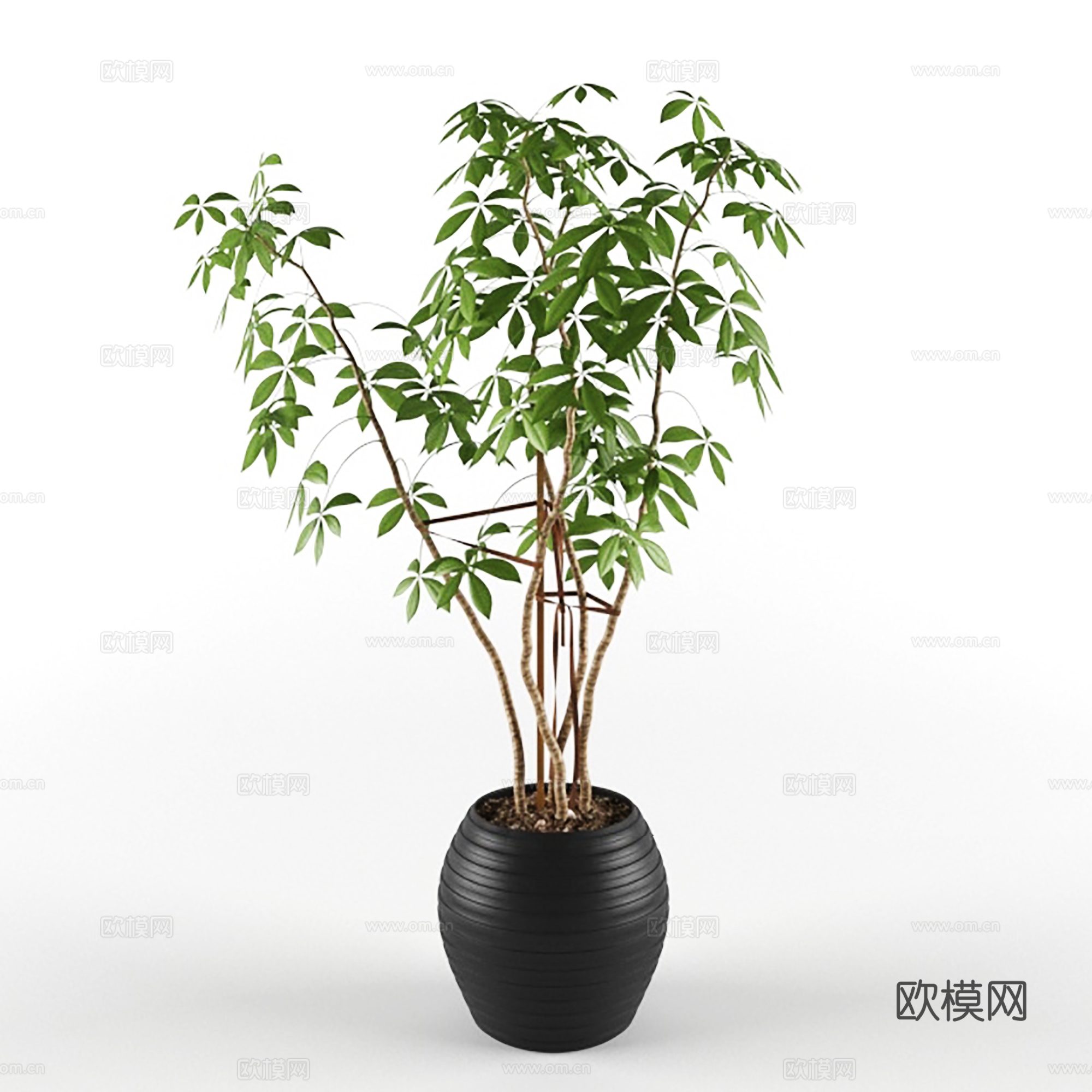现代盆景  绿植盆栽  室内造景绿植3d模型