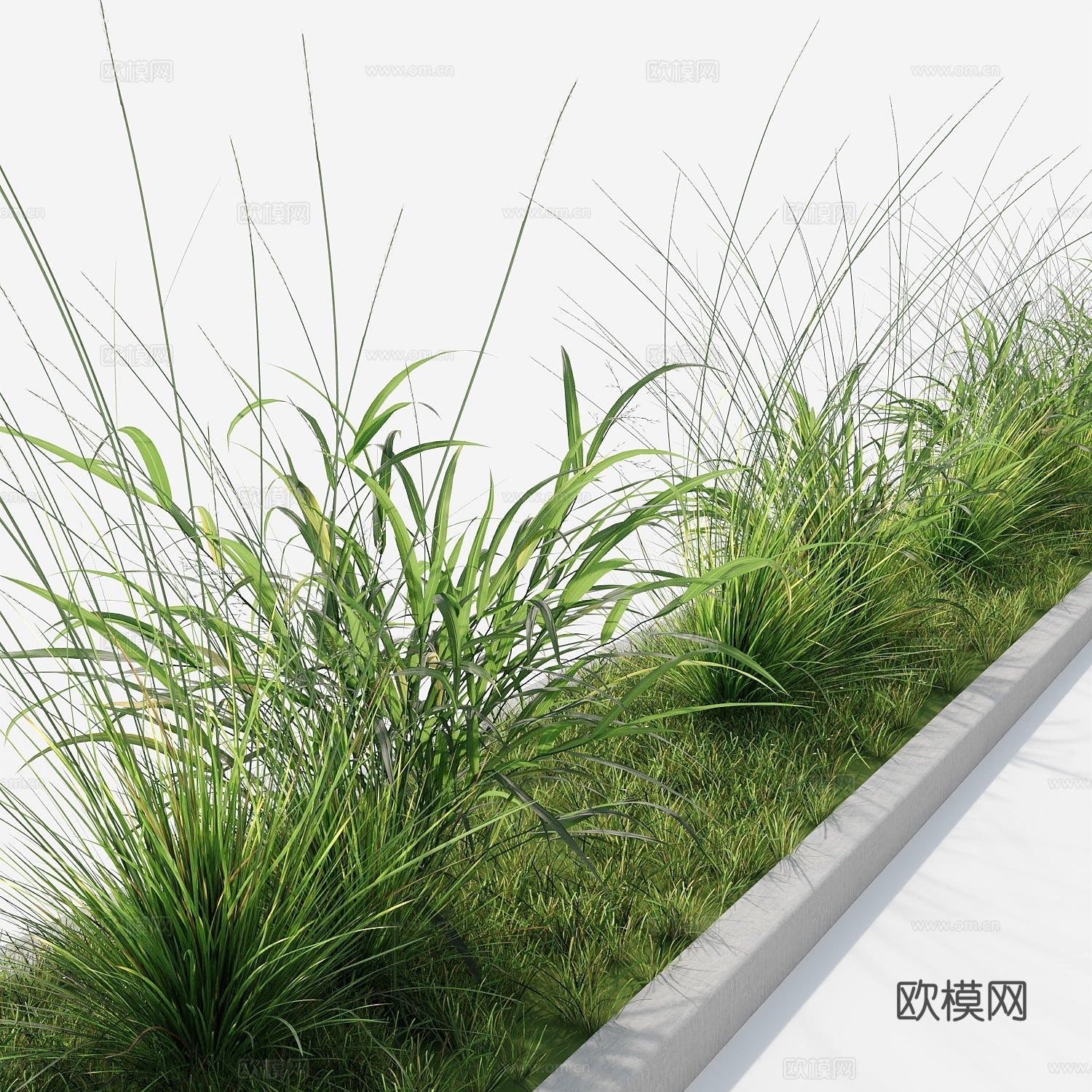 绿植景观绿化3d模型