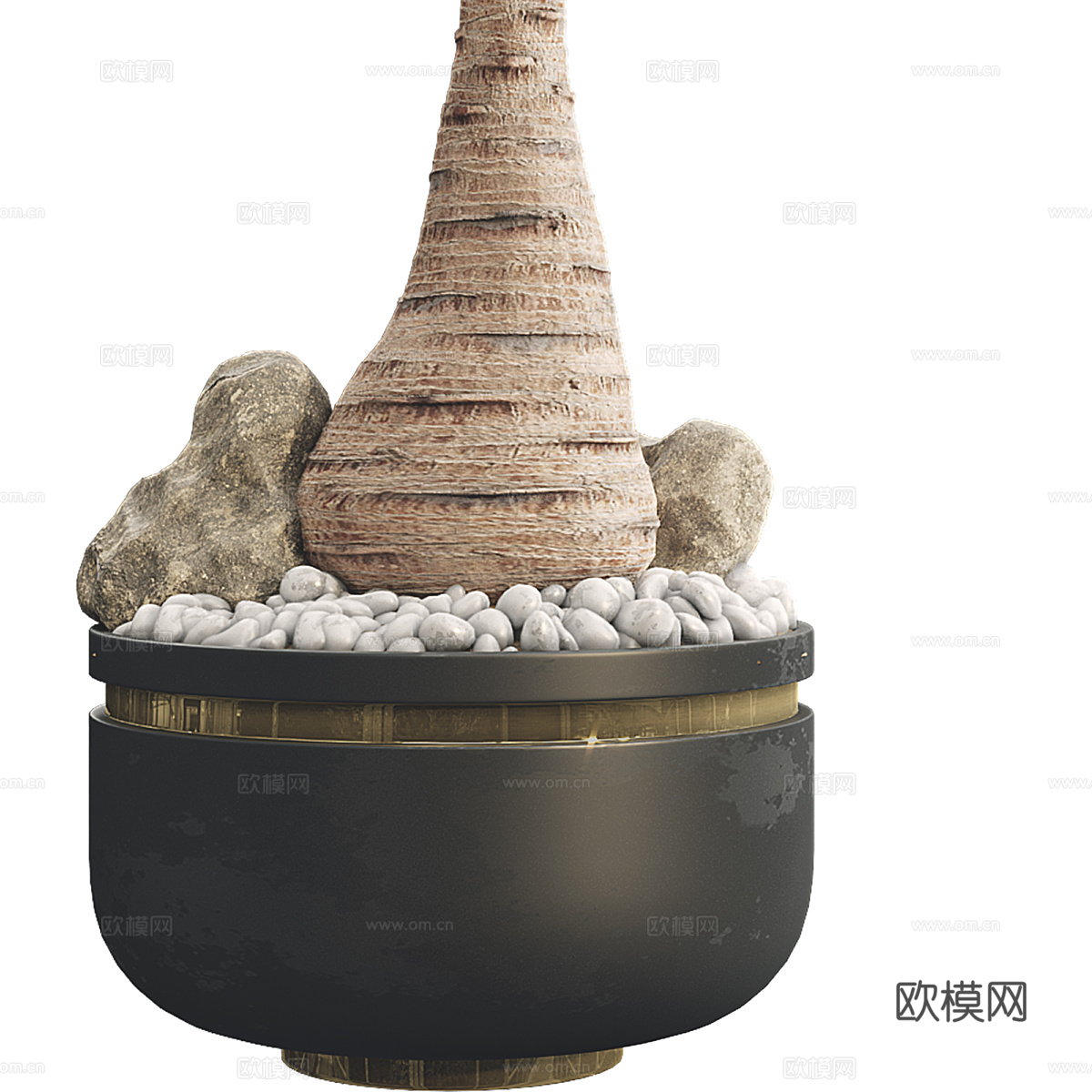 马尾辫棕榈树盆栽3d模型
