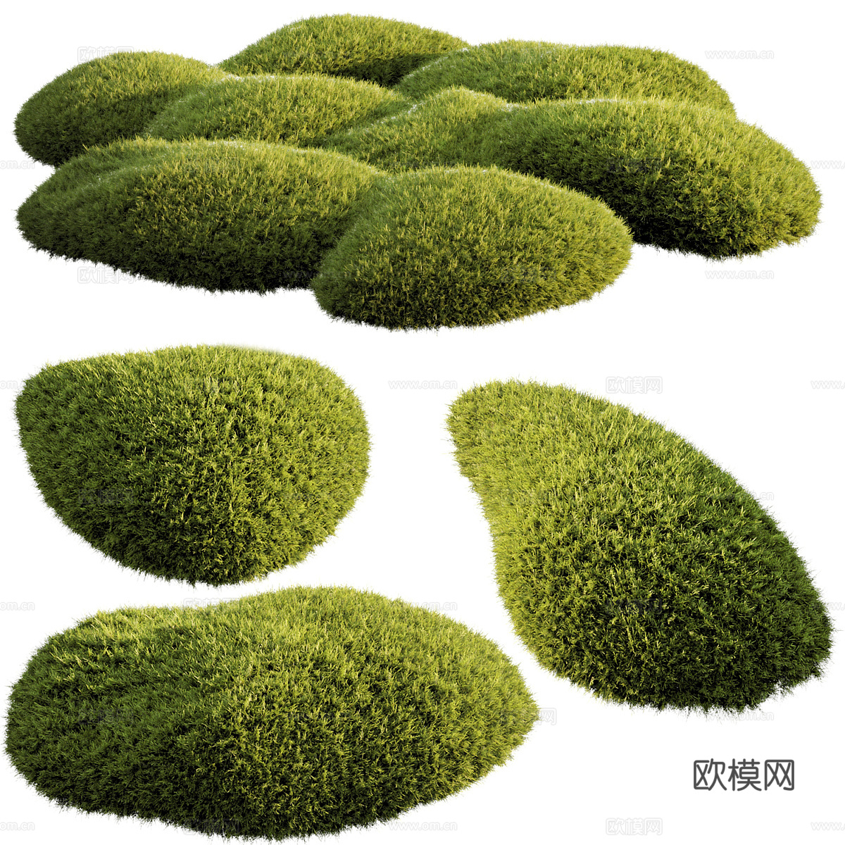 灌木3d模型