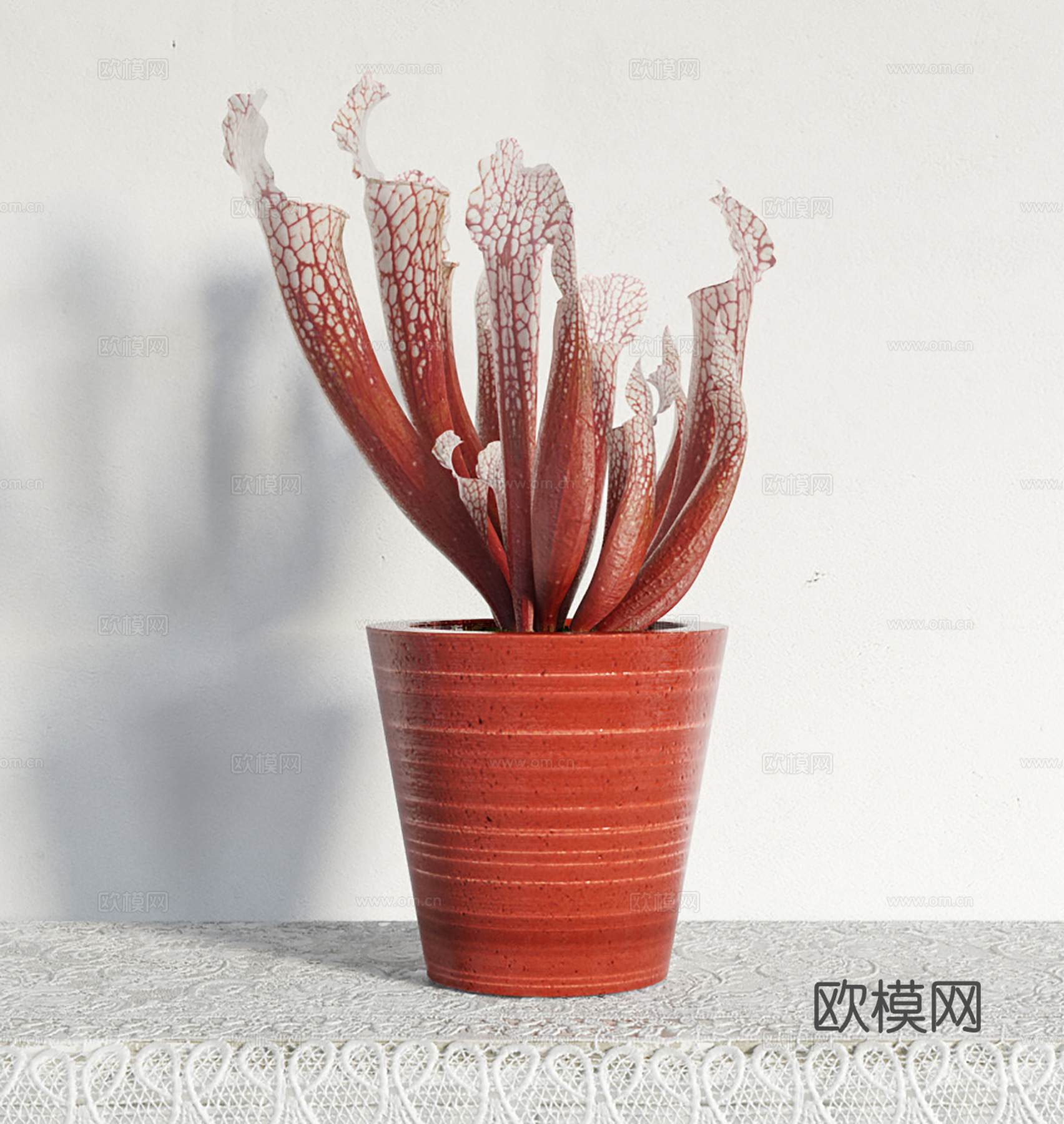 现代盆景  绿植盆栽3d模型