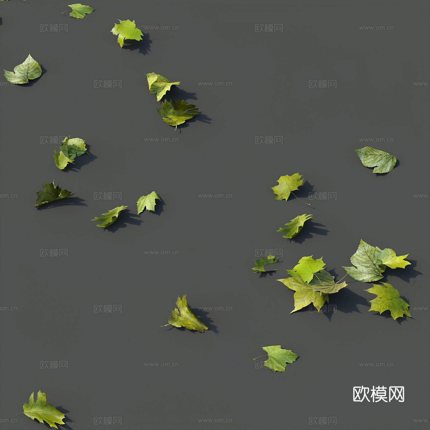 树叶落叶3d模型