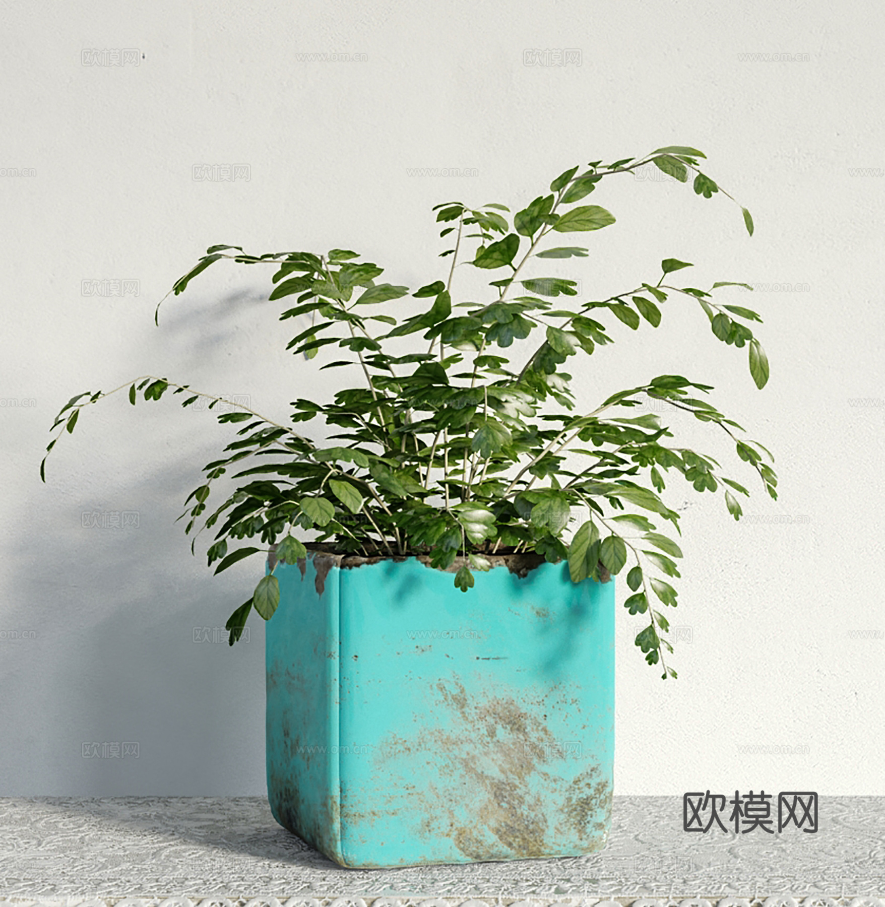 现代盆景  绿植盆栽  室内造景绿植3d模型