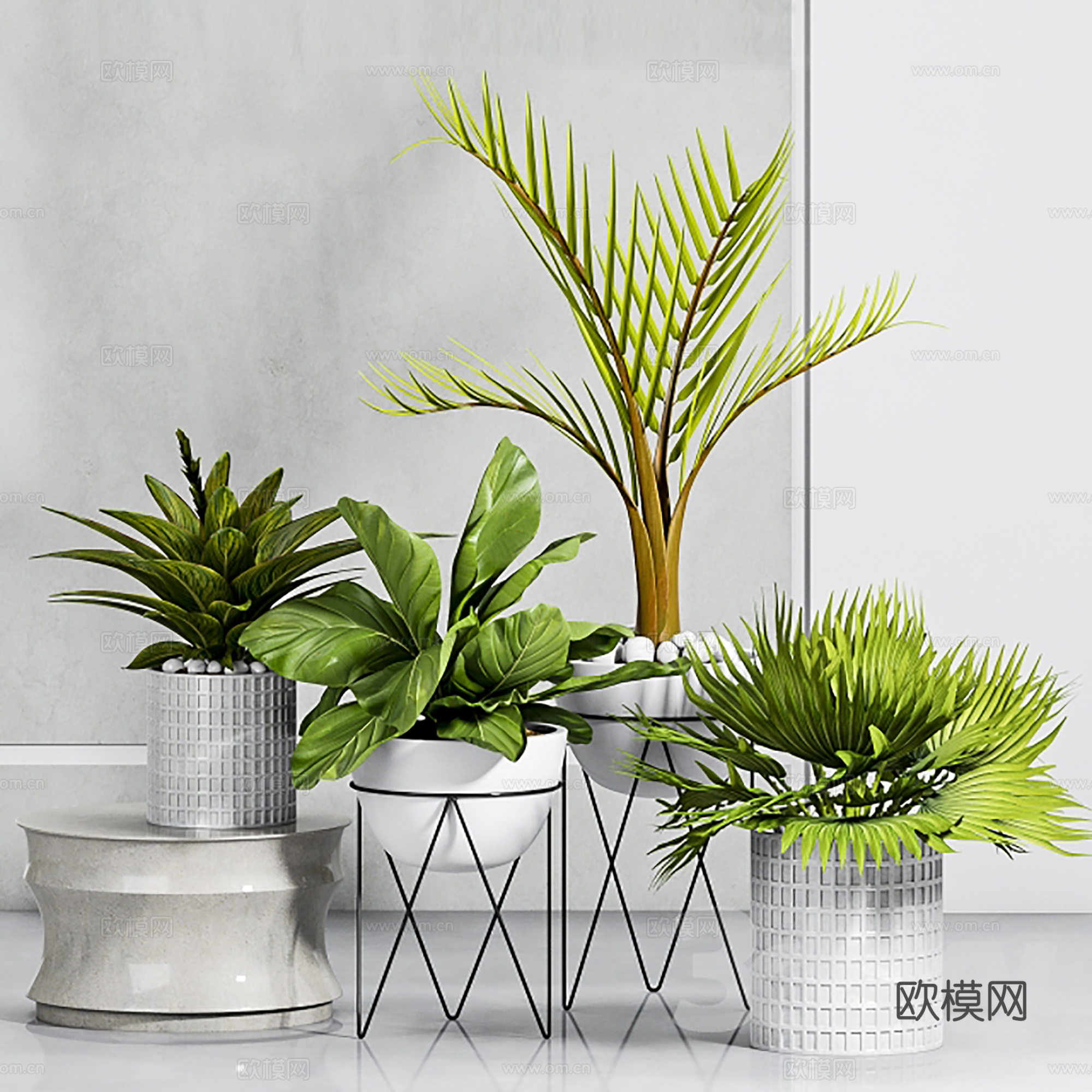 现代盆景  绿植盆栽  室内造景绿植3d模型