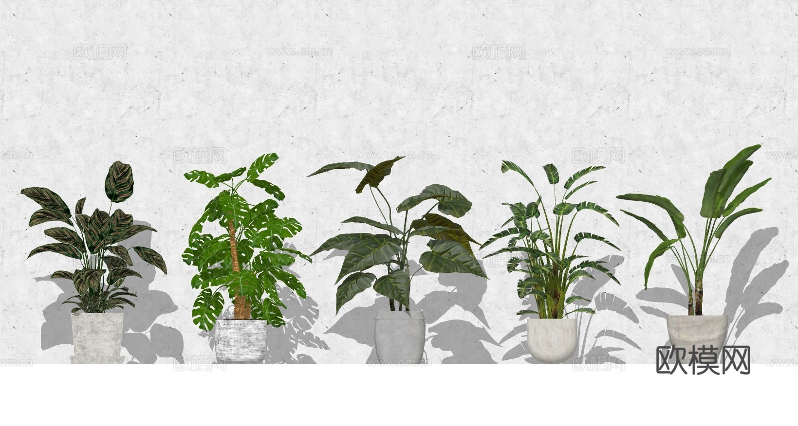 现代室内植物盆栽su模型下载