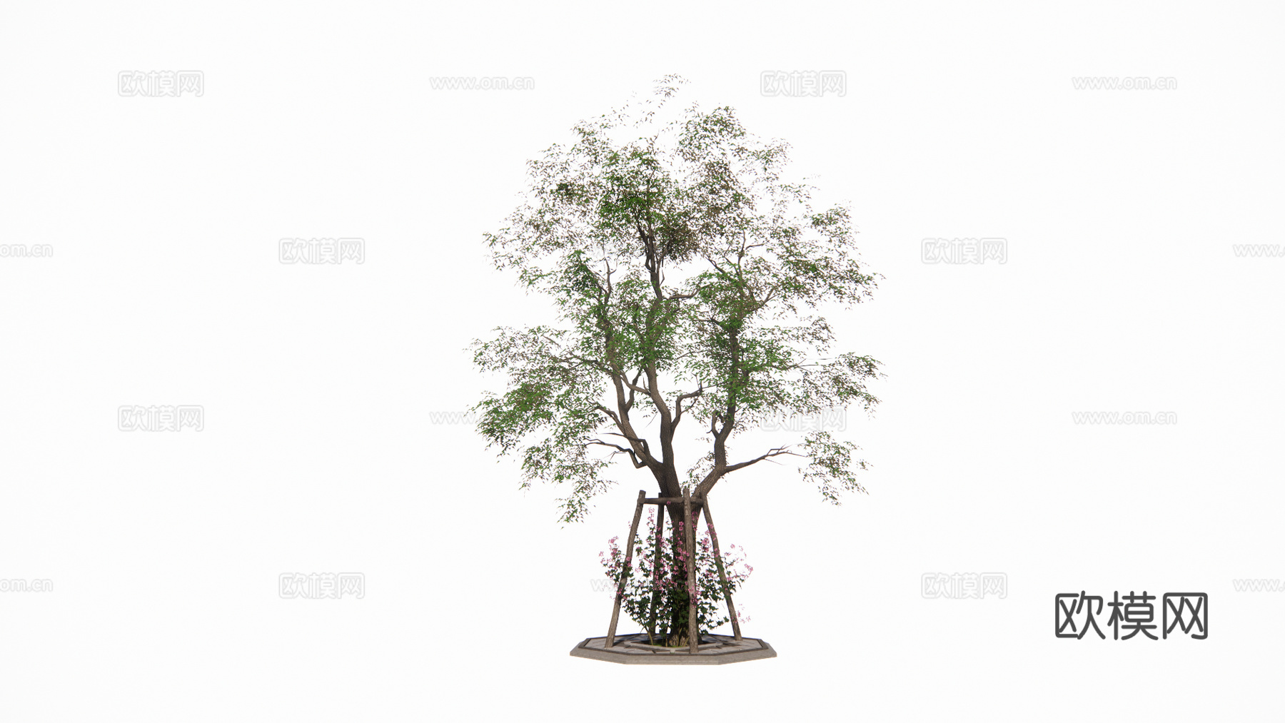 现代景观树su模型下载