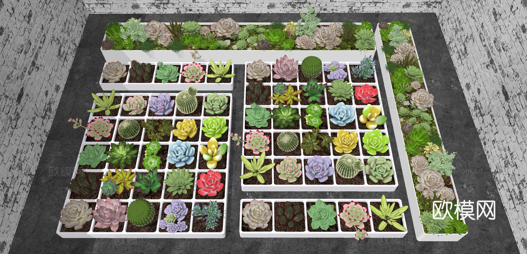 现代多肉绿植盆栽su模型下载