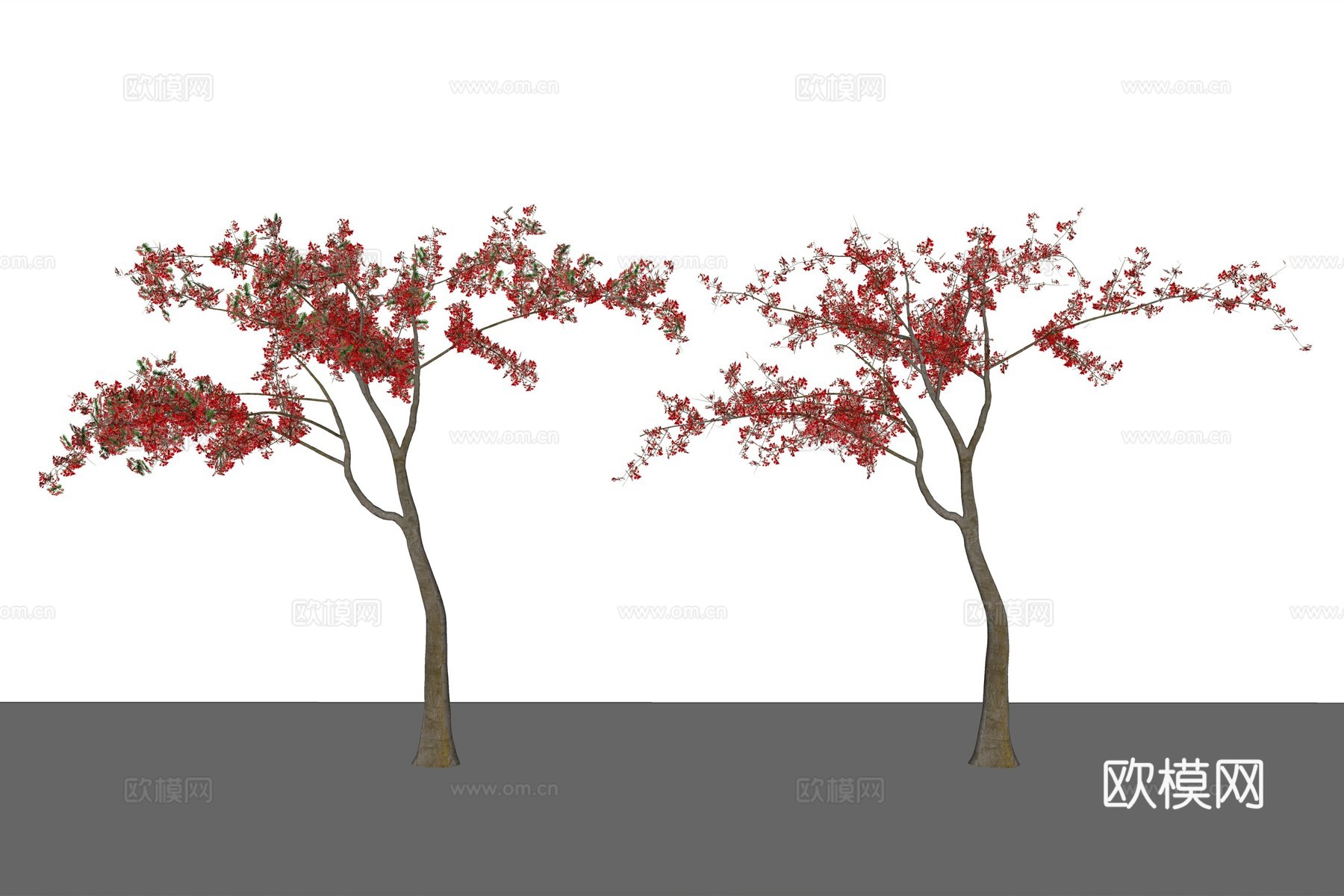 现代植物乔木su模型下载