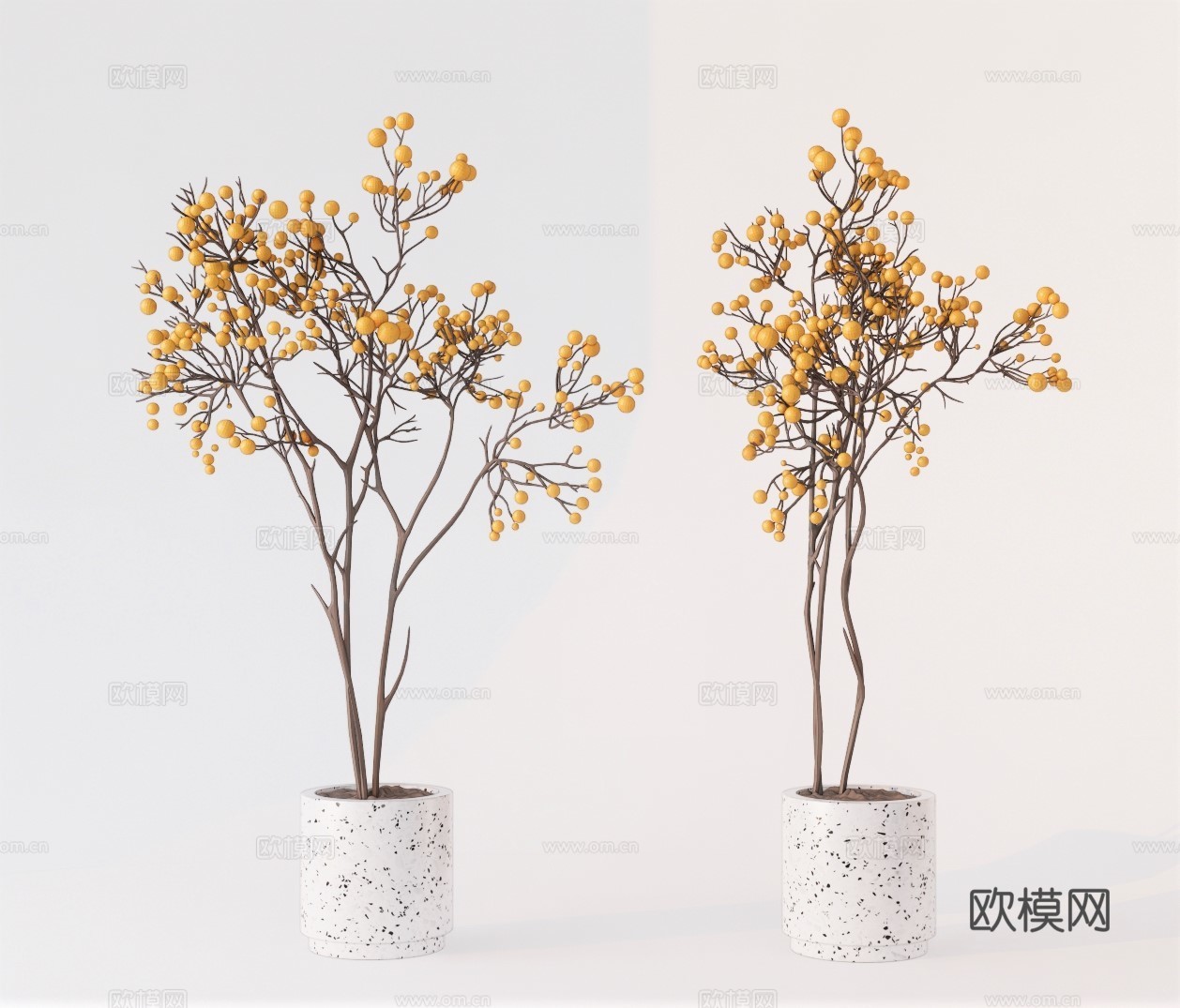 现代植物盆栽su模型下载