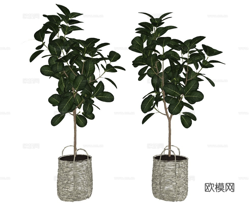 现代绿植盆栽su模型下载