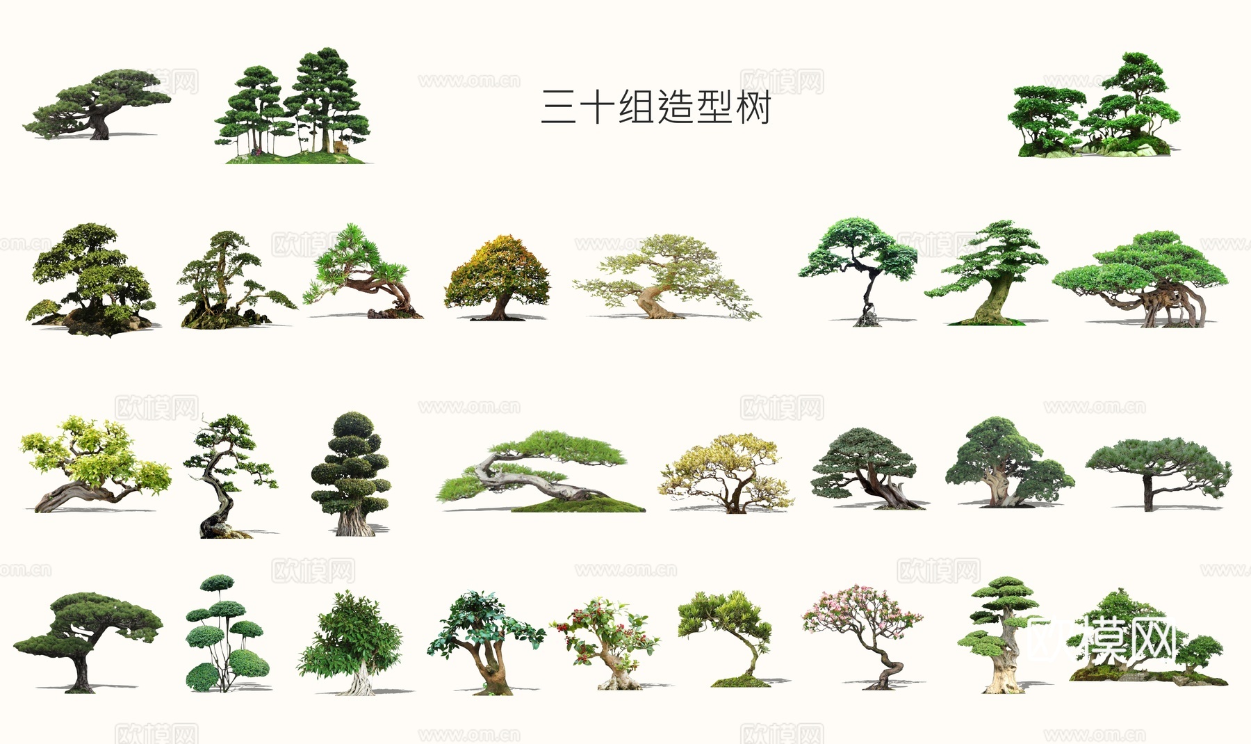 新中式造型树景观树松树su模型下载