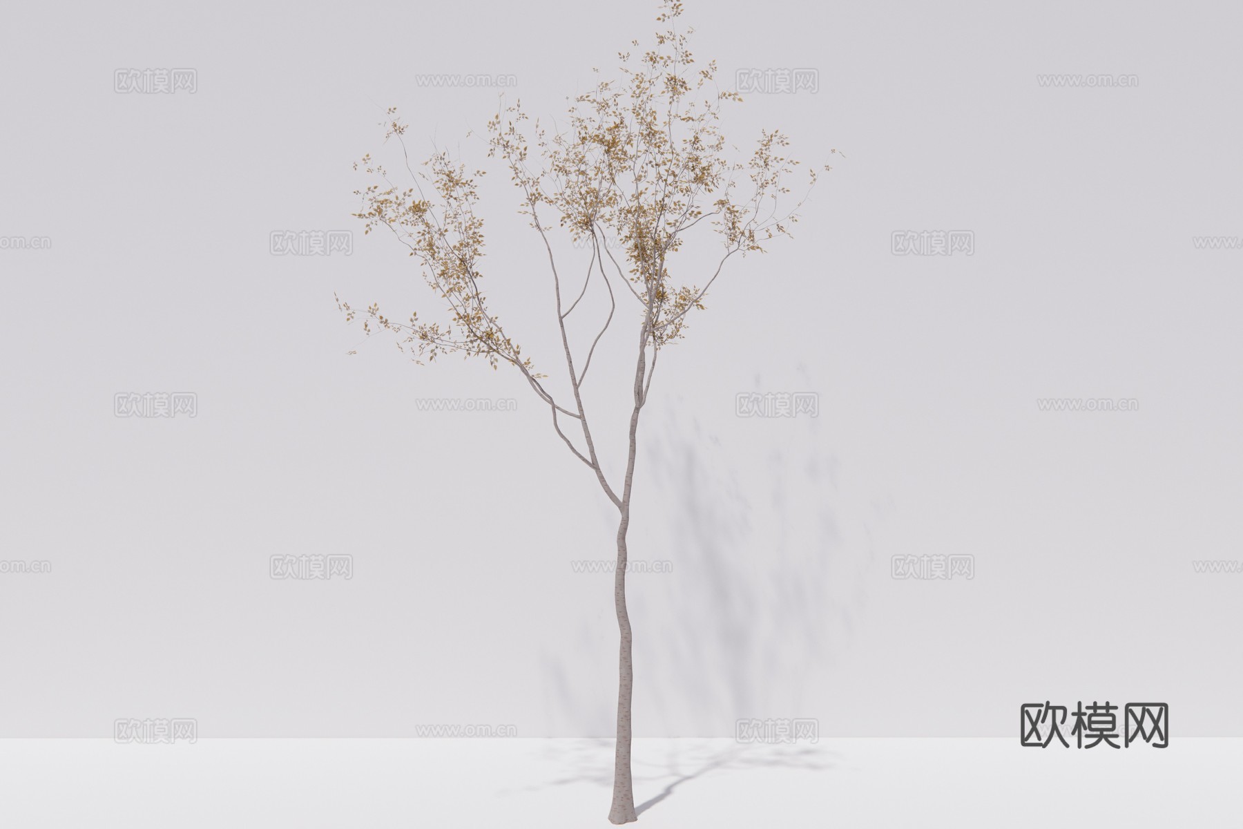 现代行道树景观树su模型下载