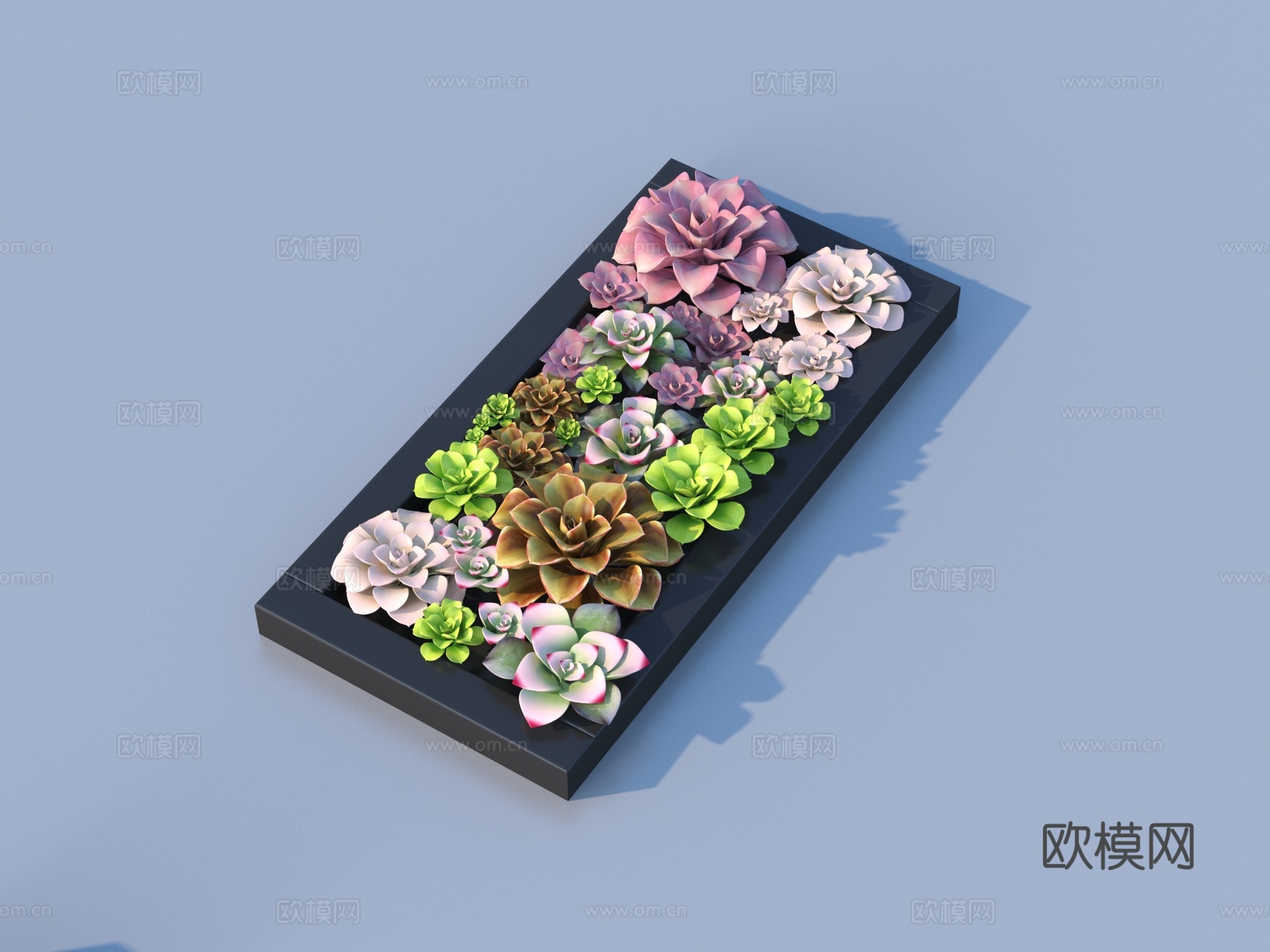 花盆 盆栽 绿植 植物3d模型