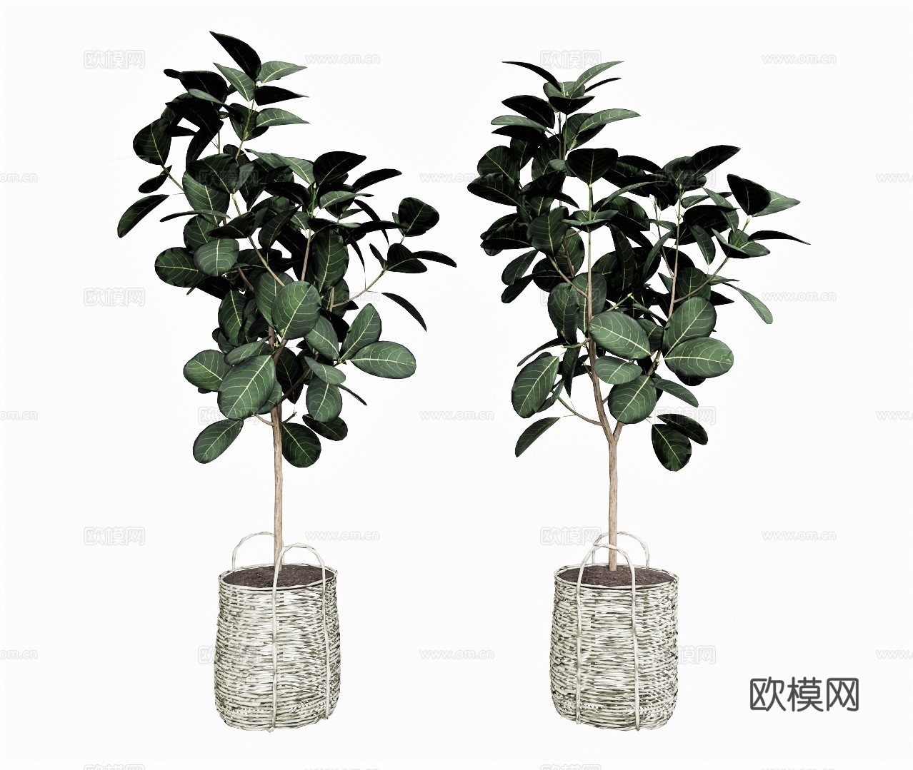 现代绿植盆栽su模型下载