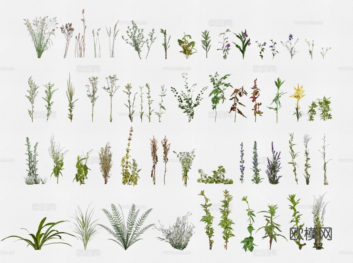 现代花草植物su模型下载