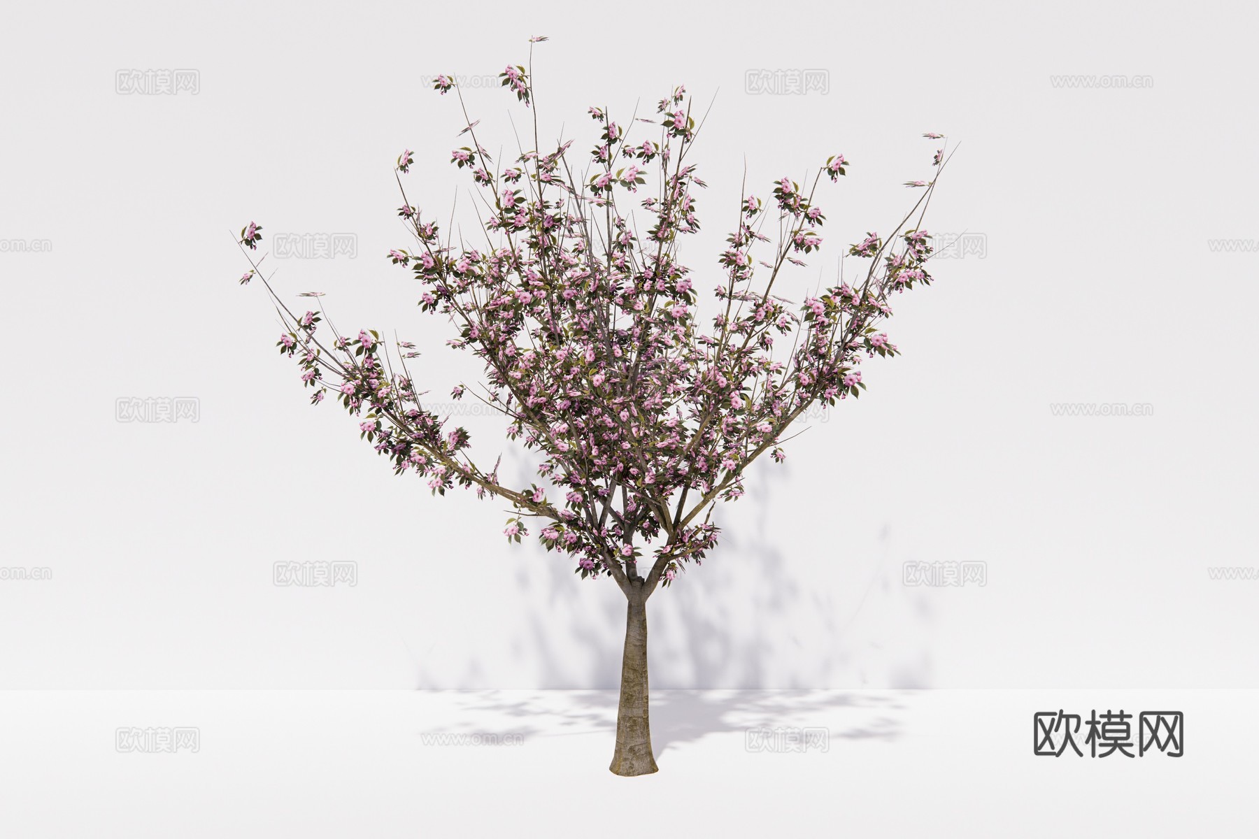 现代樱花树su模型下载