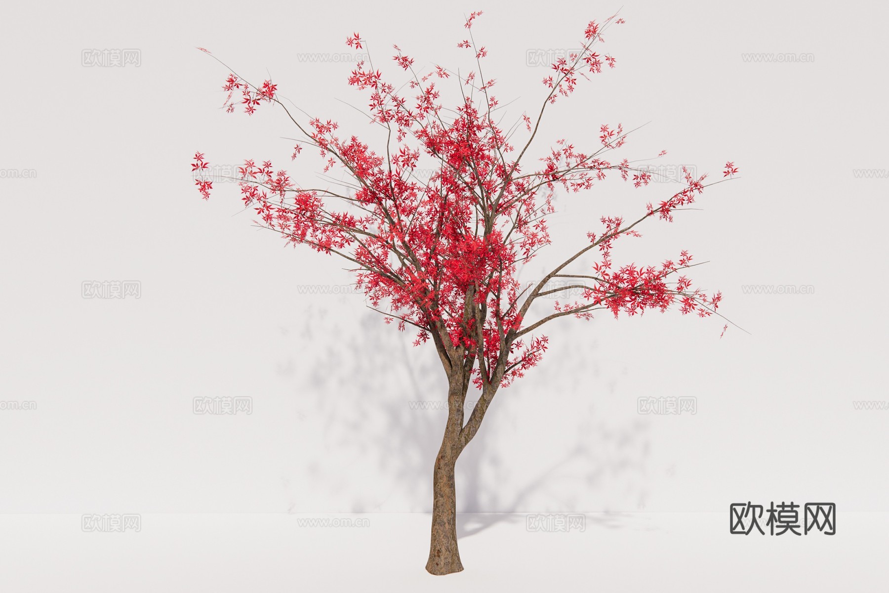 现代植物枫树su模型下载