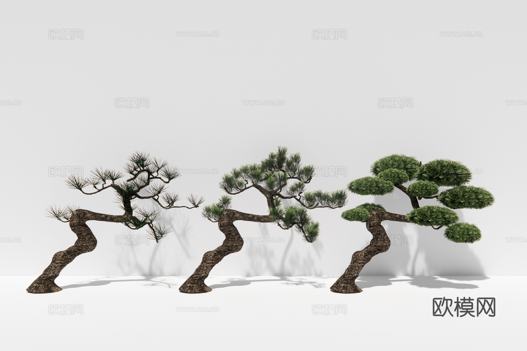 现代植物松树su模型下载