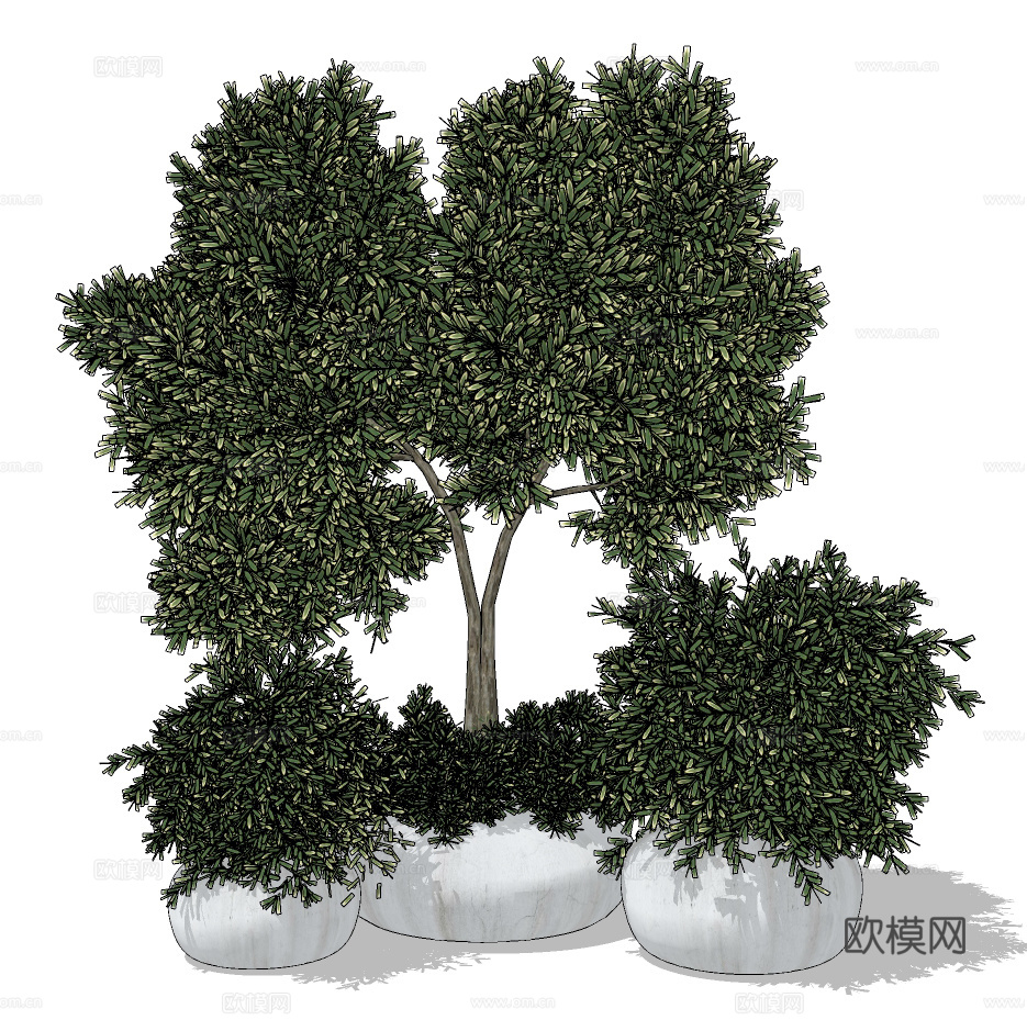 现代植物盆栽su模型下载