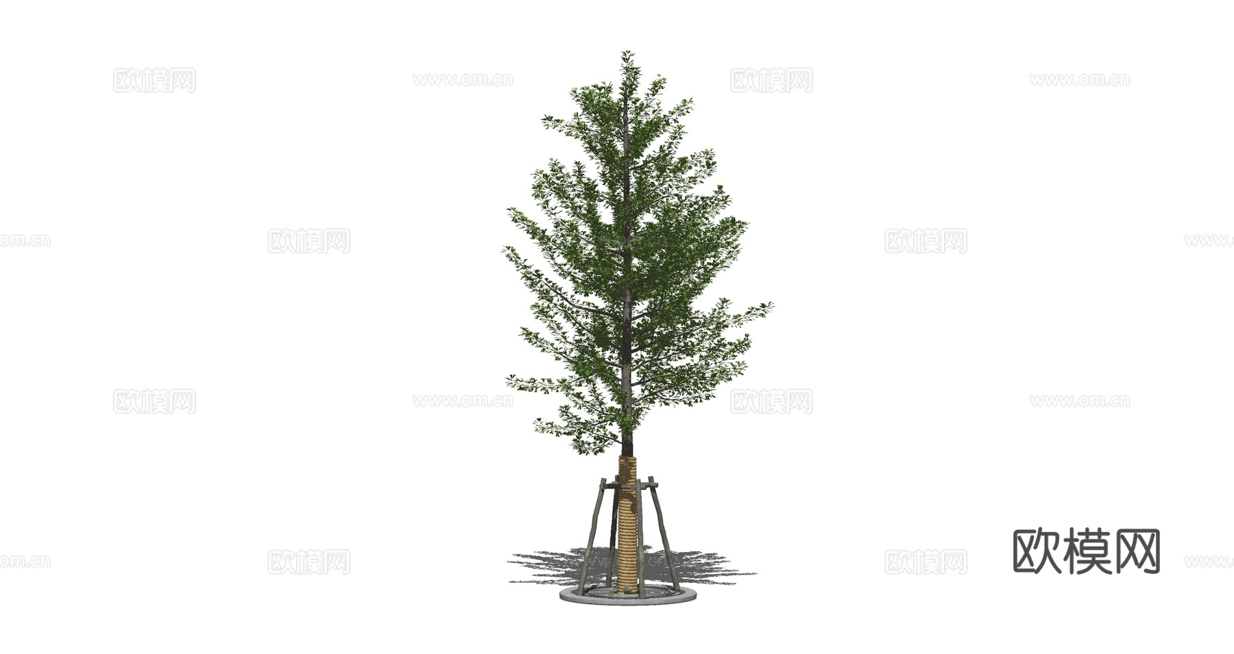 现代景观树su模型下载