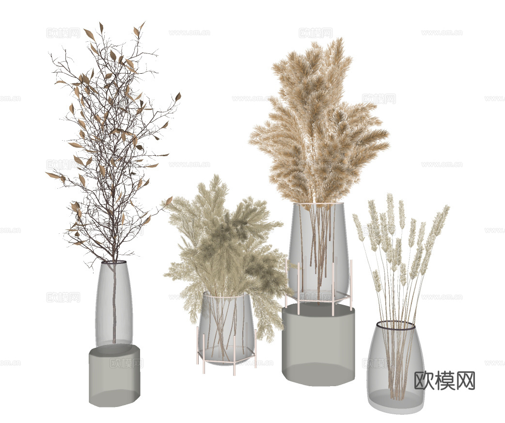 现代芦苇草干花插花su模型下载