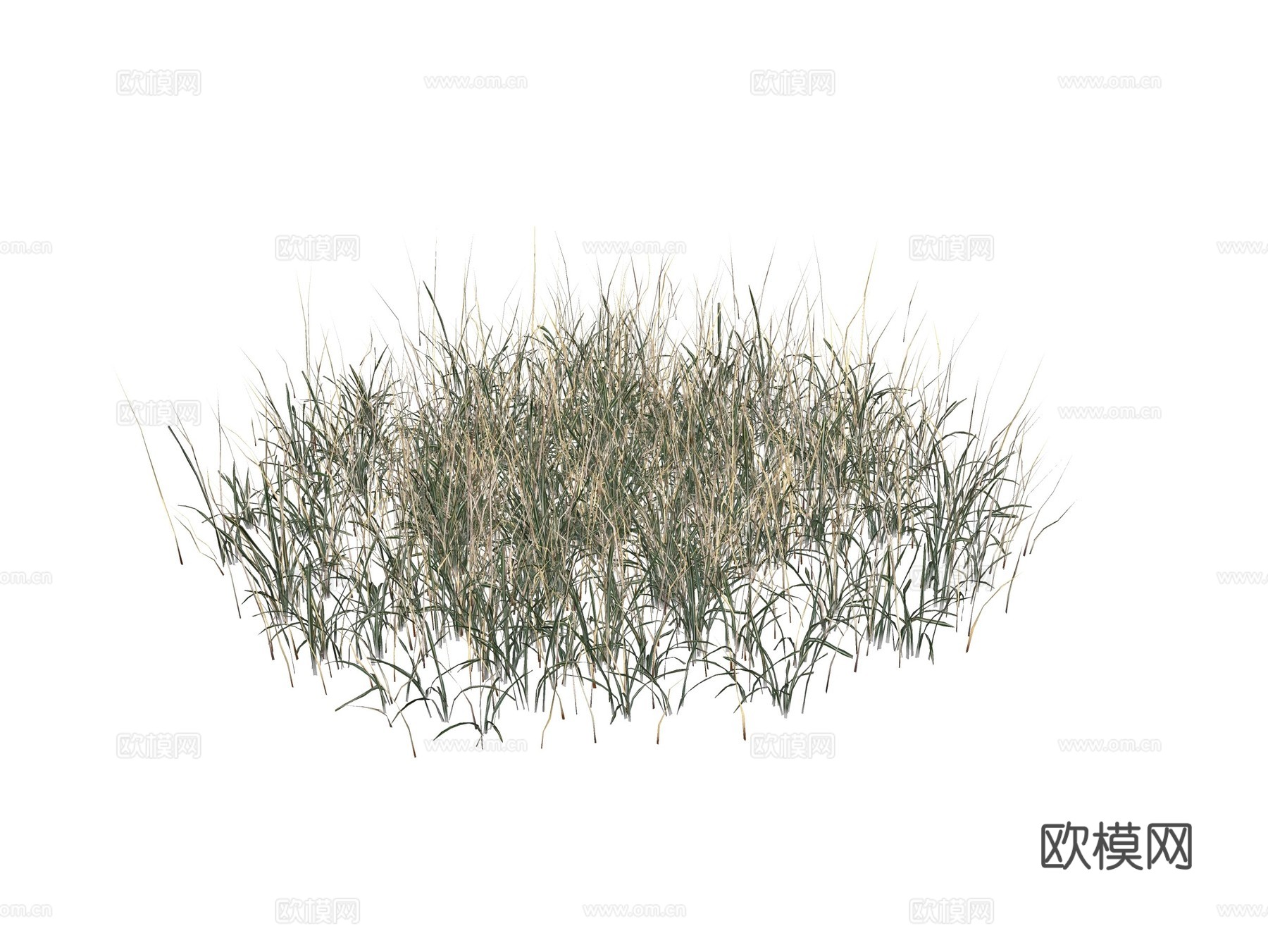 现代绿植花草su模型下载