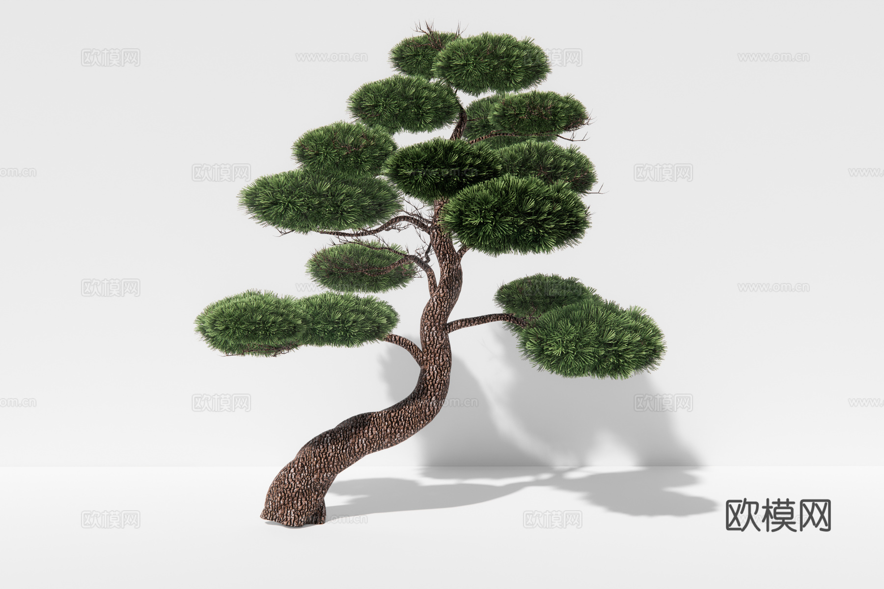 现代植物松树su模型下载