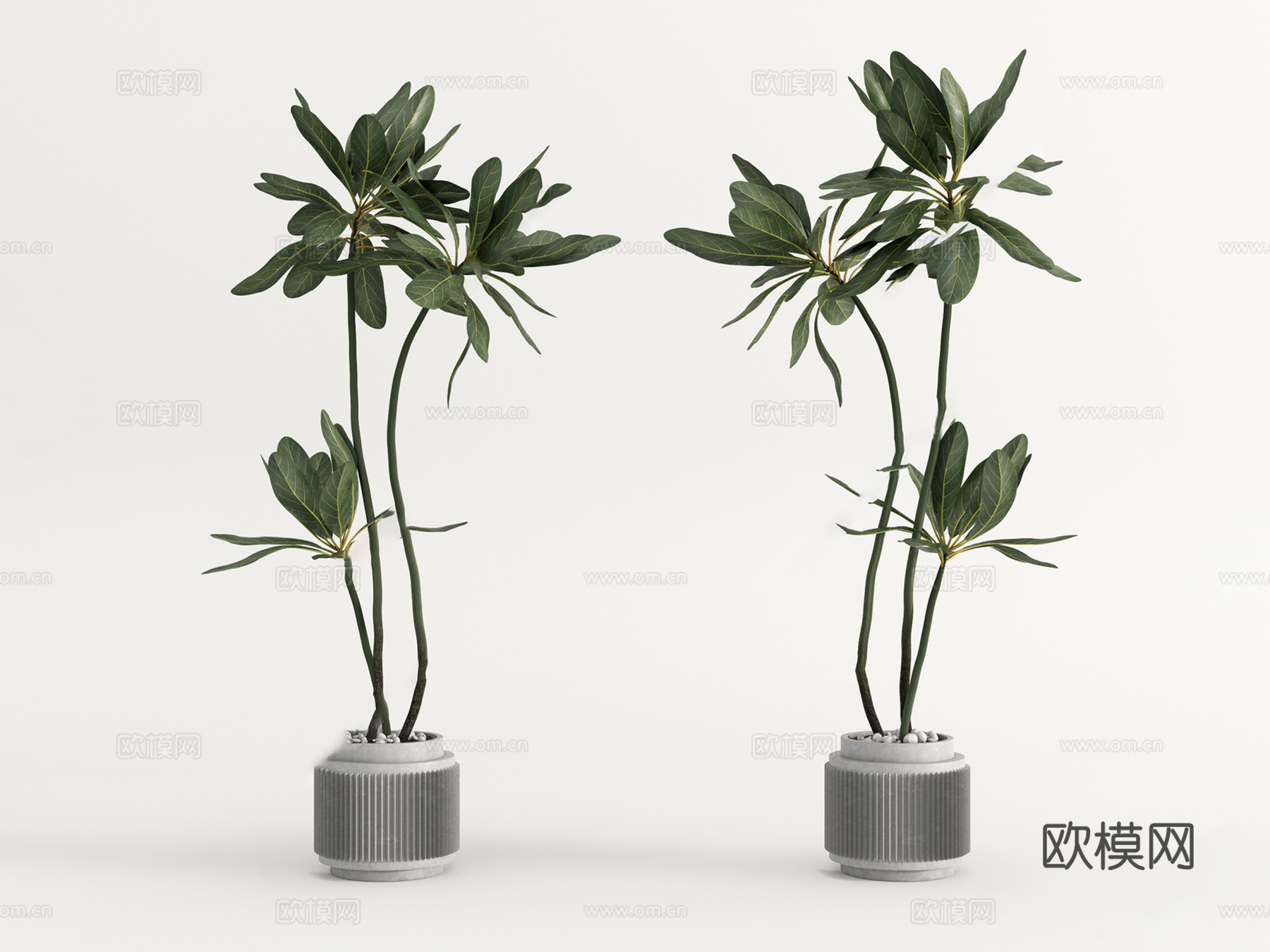 现代绿植盆栽su模型下载下载