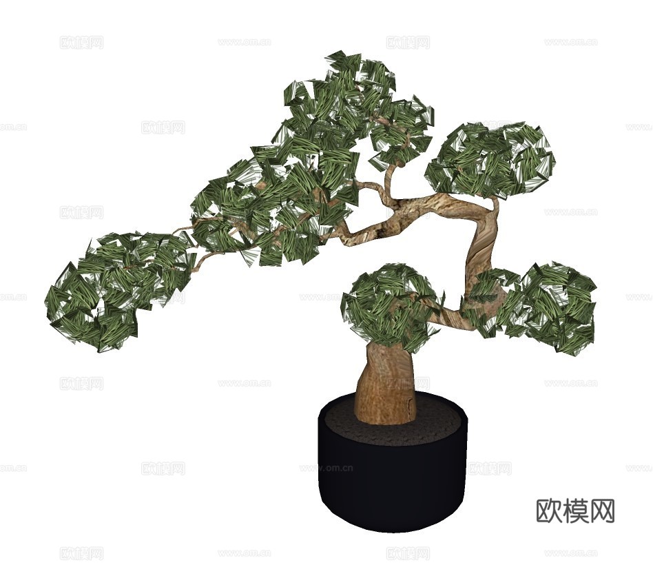 现代罗汉松盆栽su模型下载