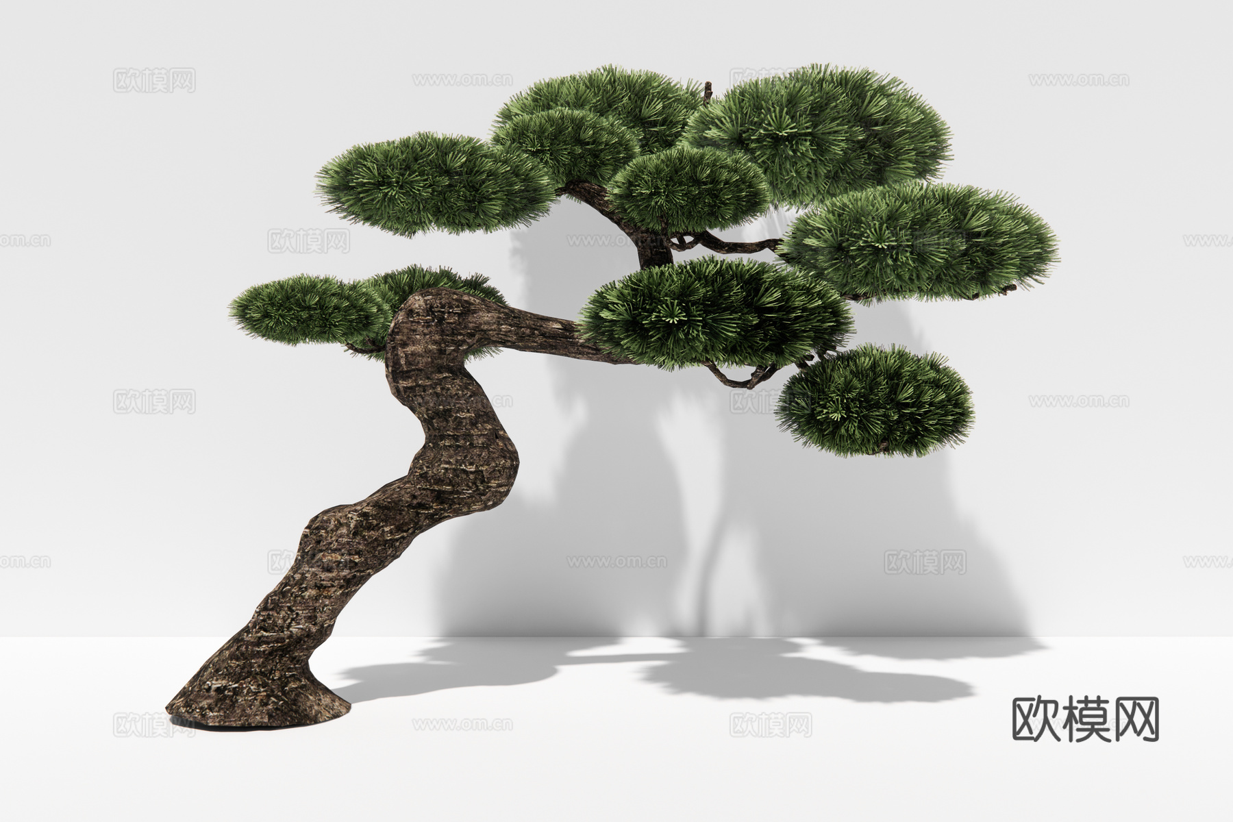 现代植物松树su模型下载