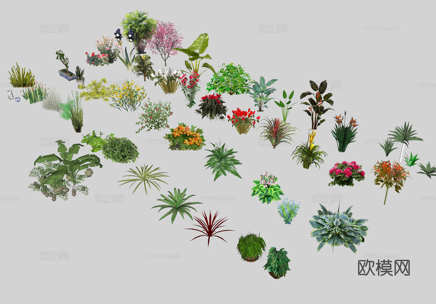 现代绿植花草su模型下载