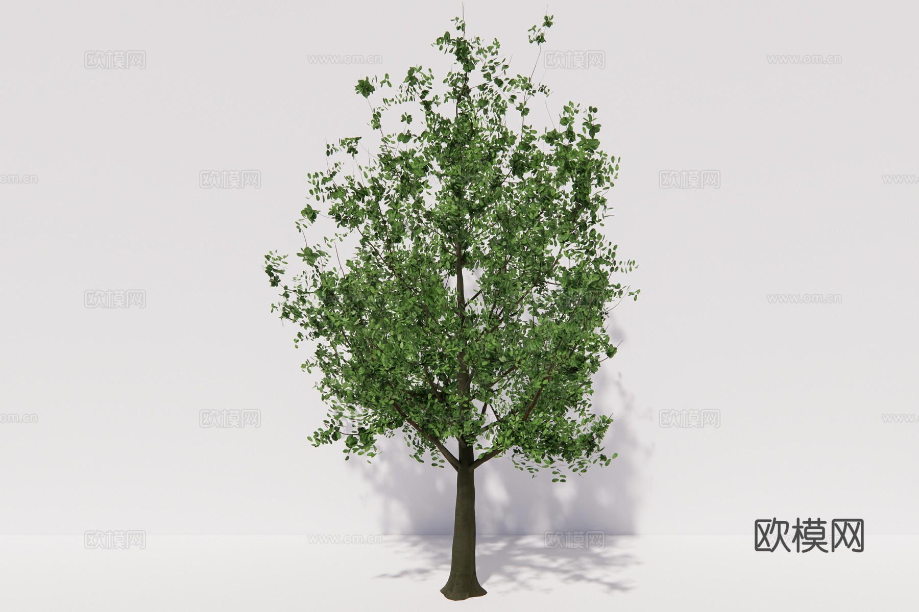 现代植物乔木树su模型下载