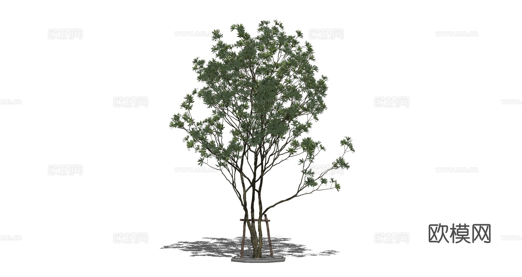 现代景观树su模型下载