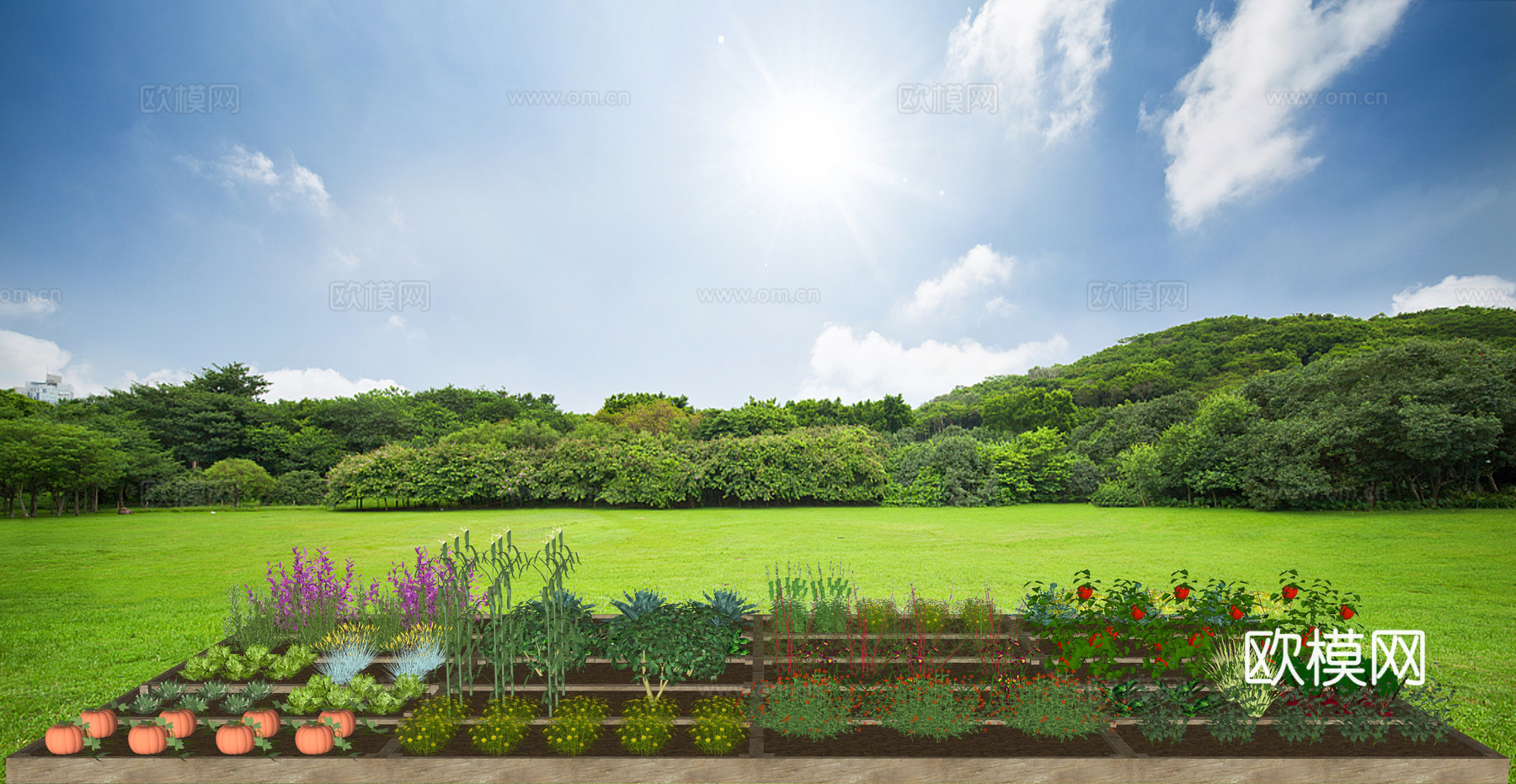 现代蔬菜园菜地su模型下载